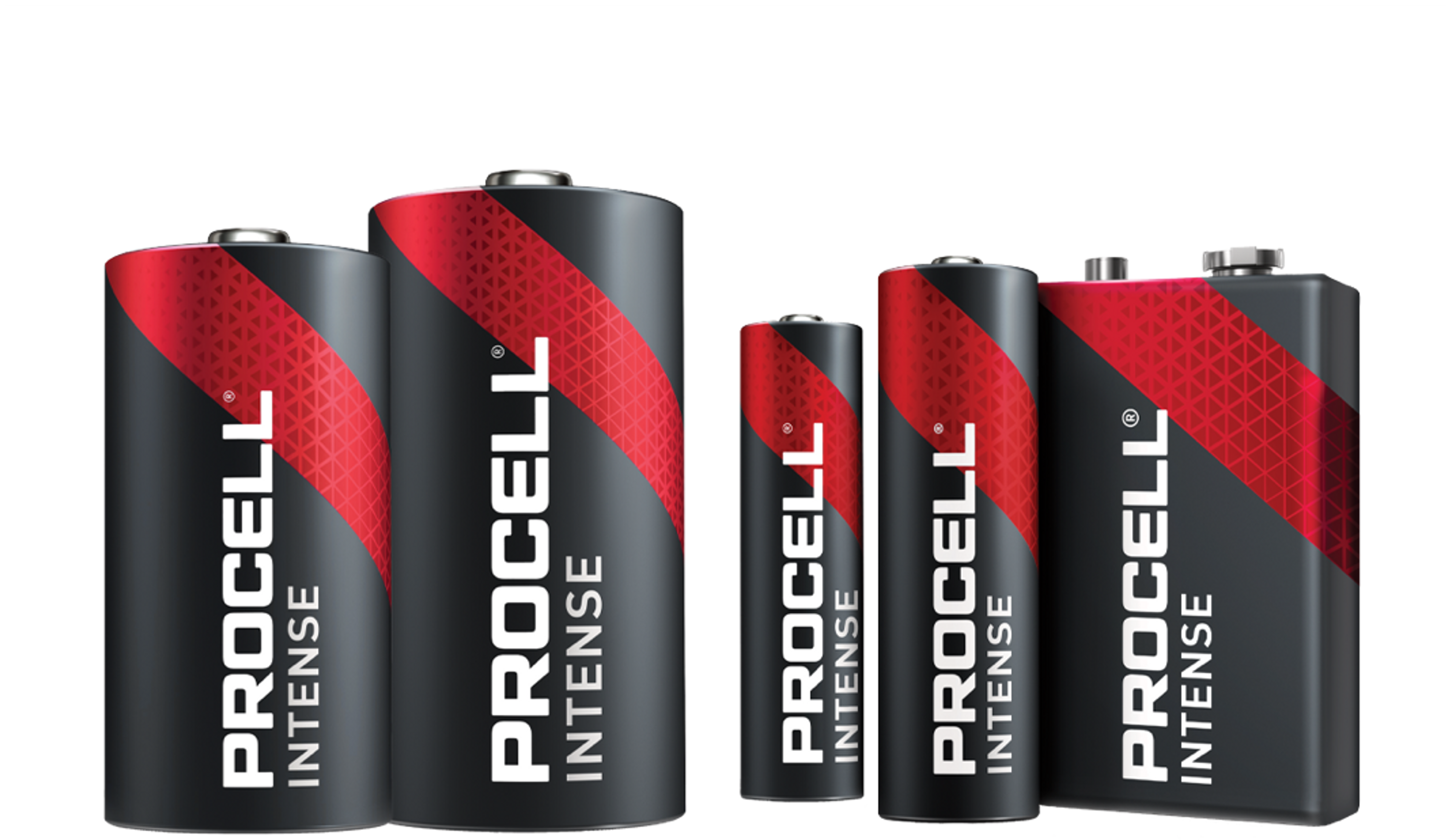 Picture showing various Procell Plus batteries  in popular sizes: AA, AAA, C, D and 9-volt