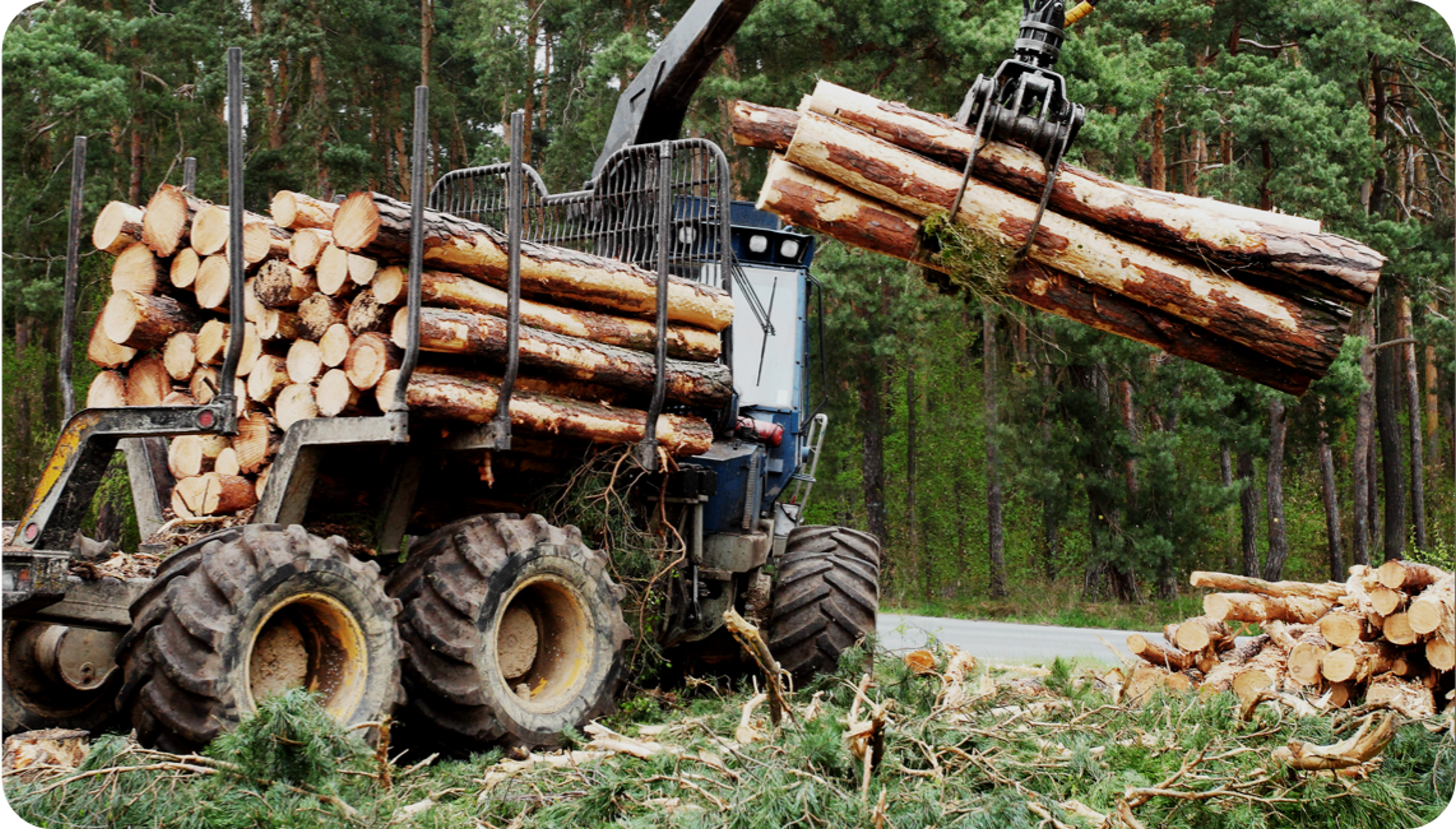 Picture of forestry truck carrying logs