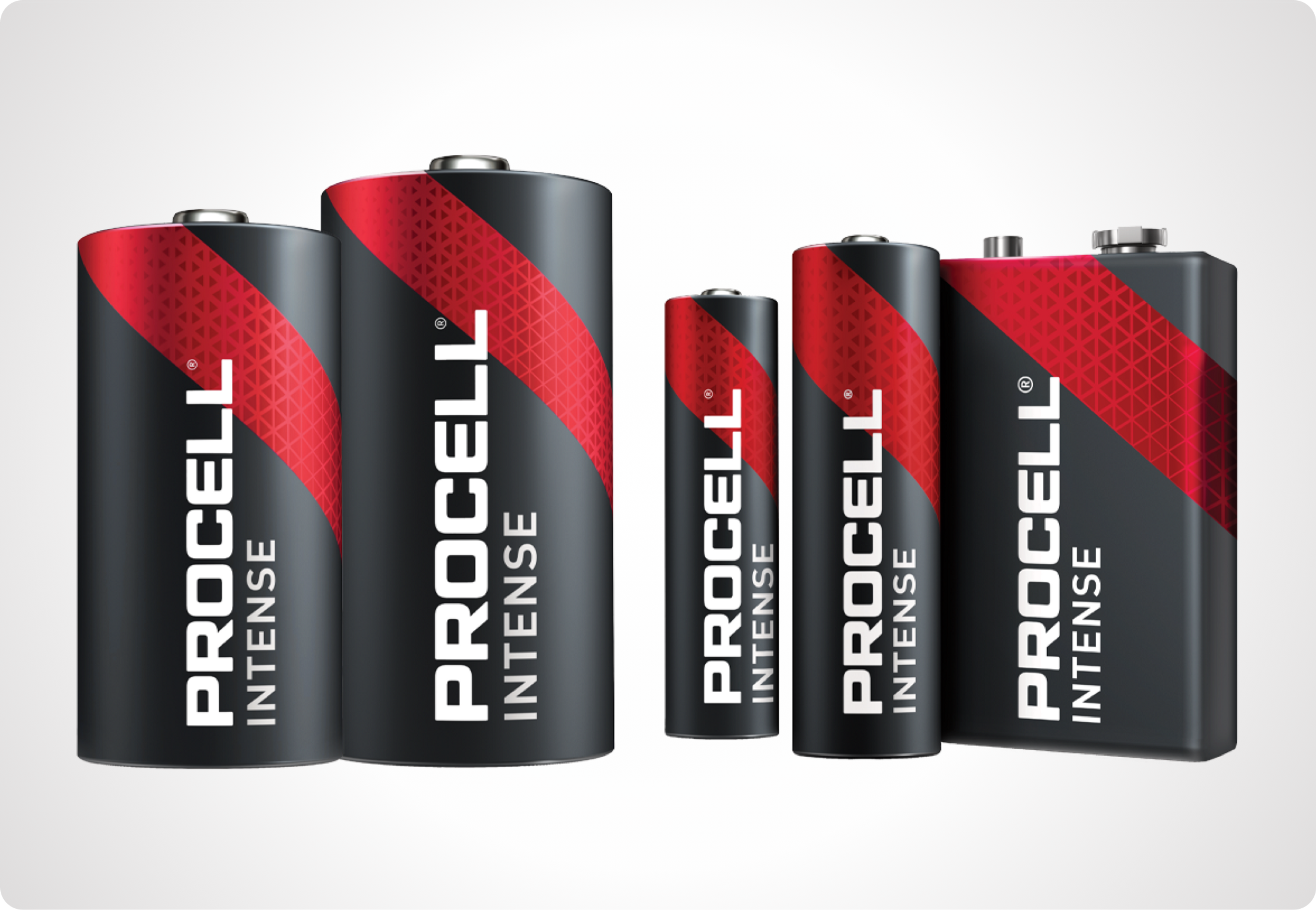 Picture showing various Procell Plus batteries  in popular sizes: AA, AAA, C, D and 9-volt