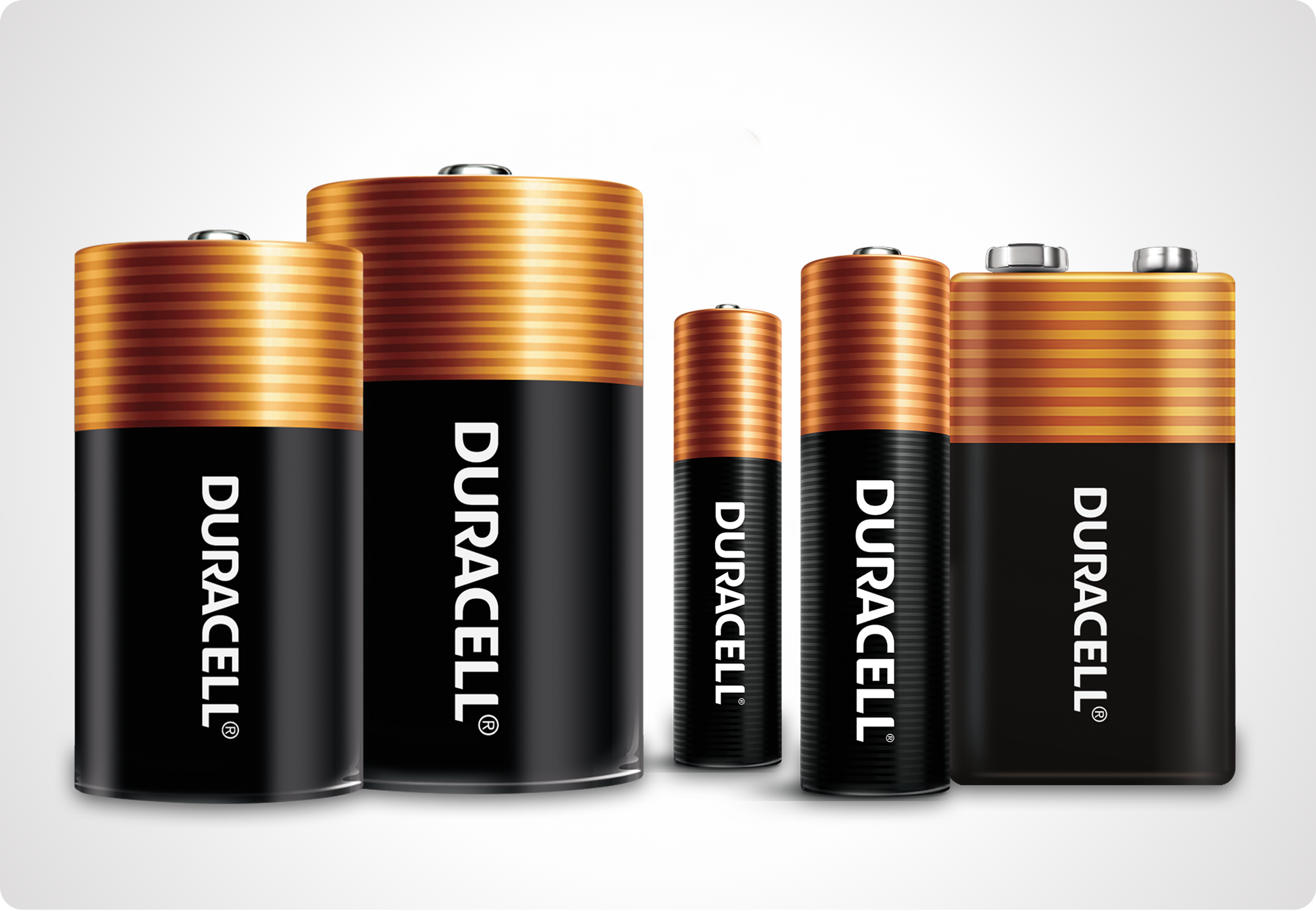 Image of various Procell batteries  in popular sizes: AA, AAA, C, D and 9-volt