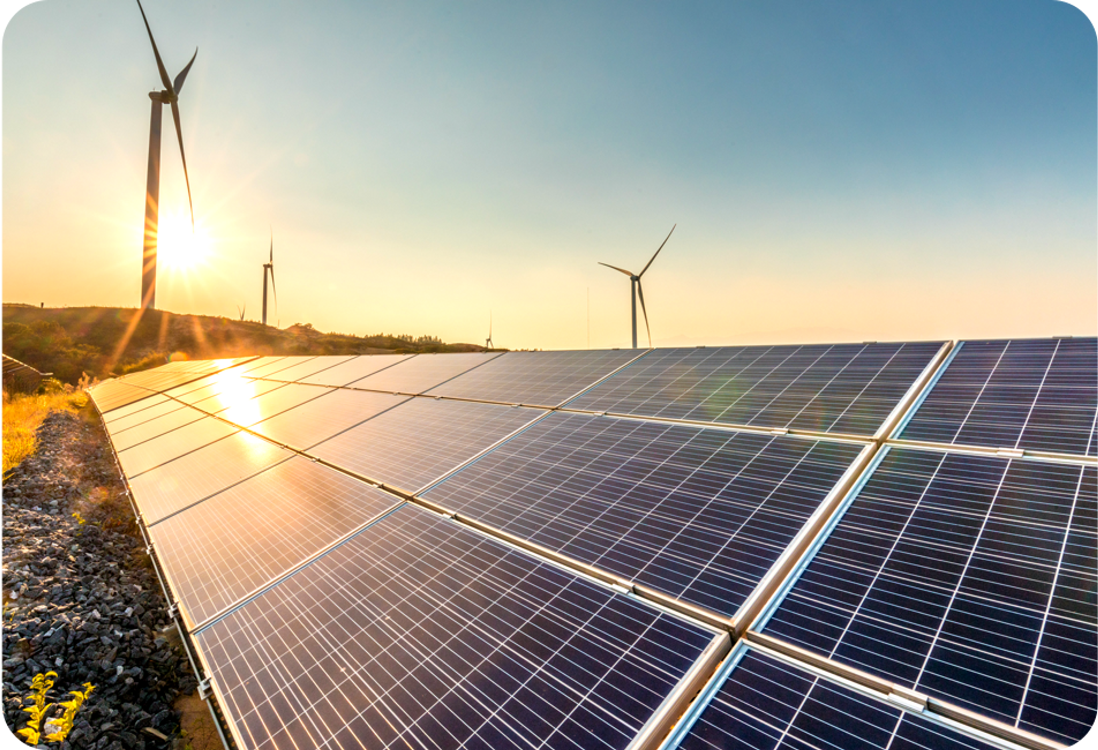 Picture of 12 solar panels and 3 wind turbines in the background 