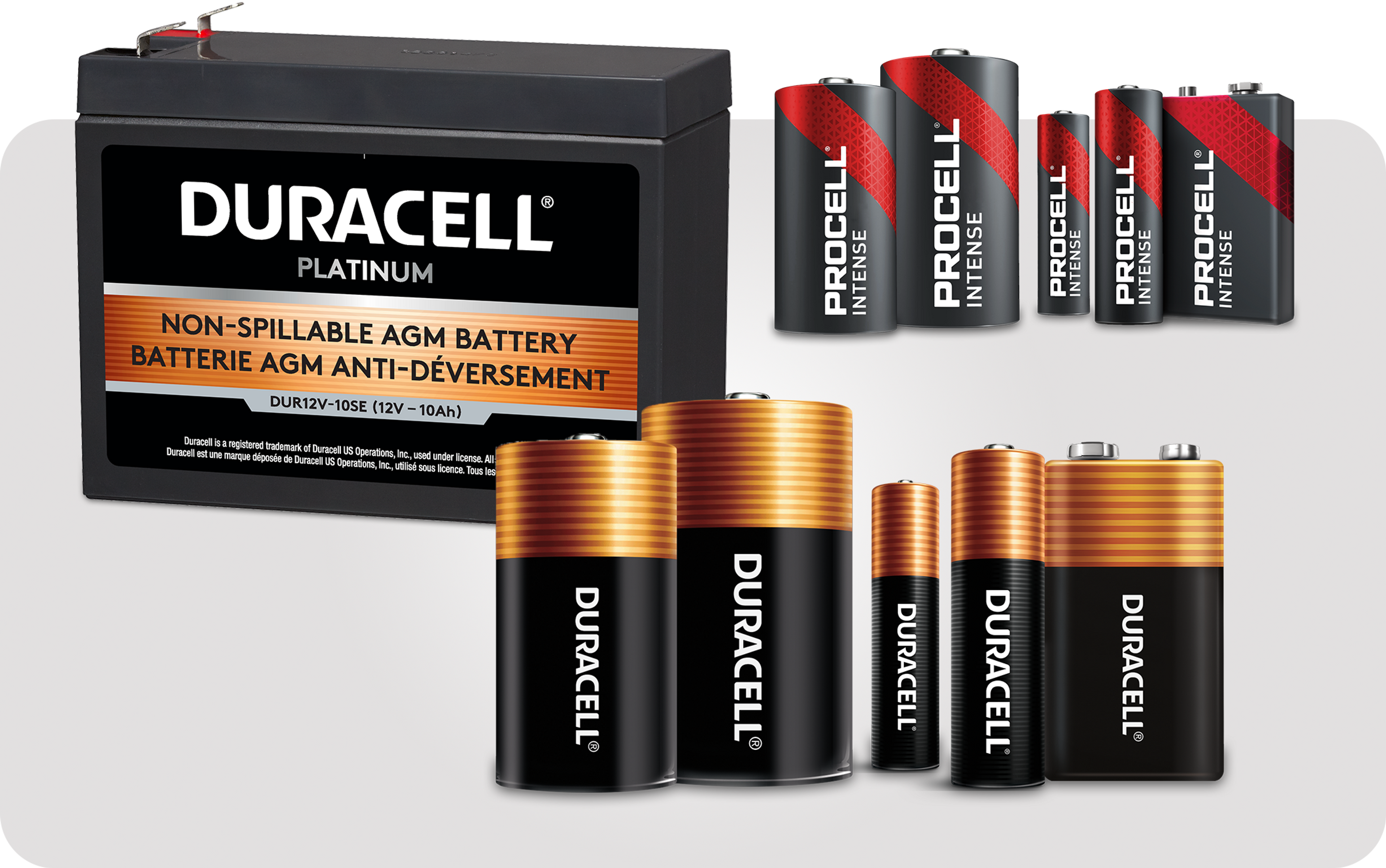 Picture of various batteries including duracell, procell and East Penn car battery 
