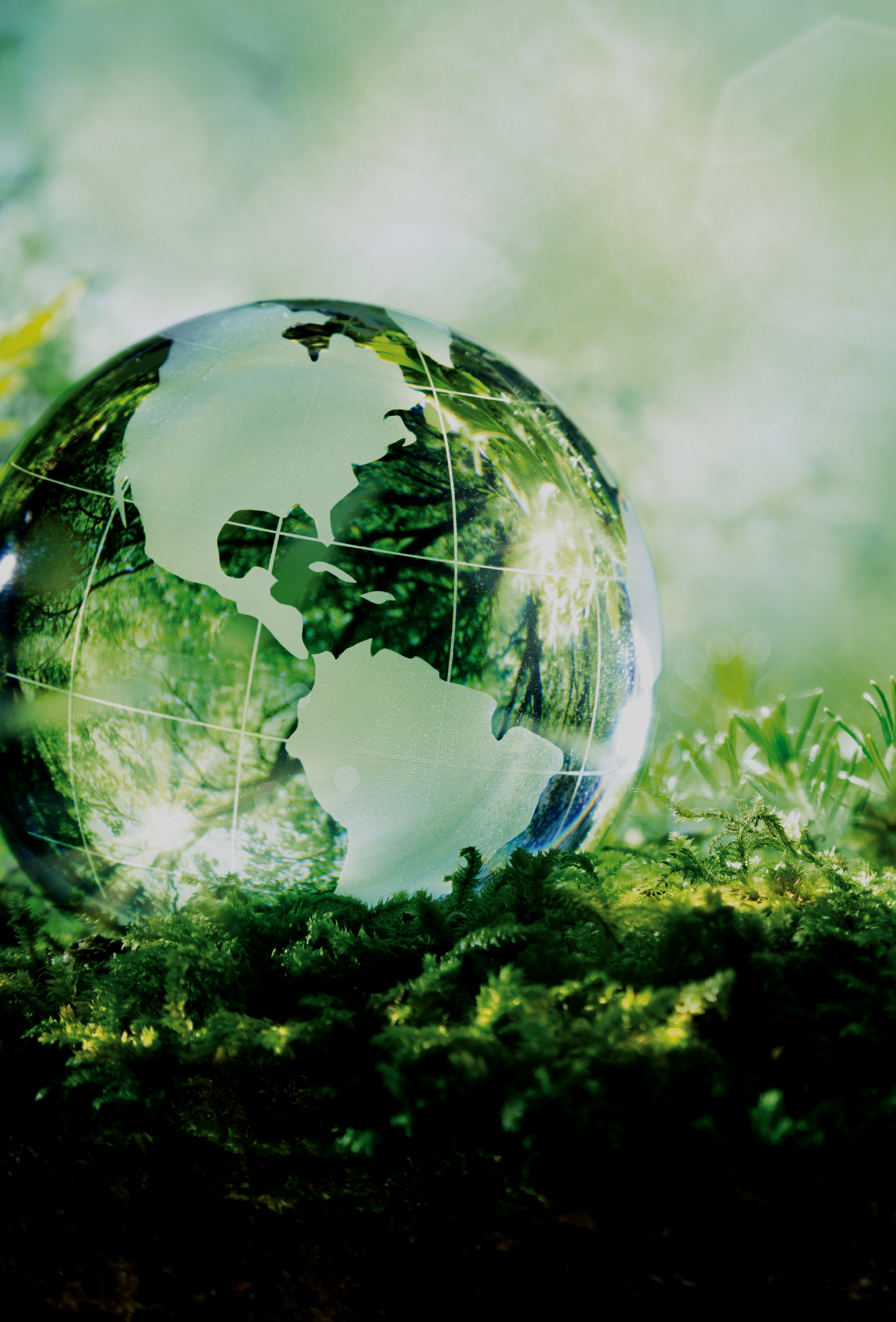 Picture of crystal earth globe sitting on the forest floor