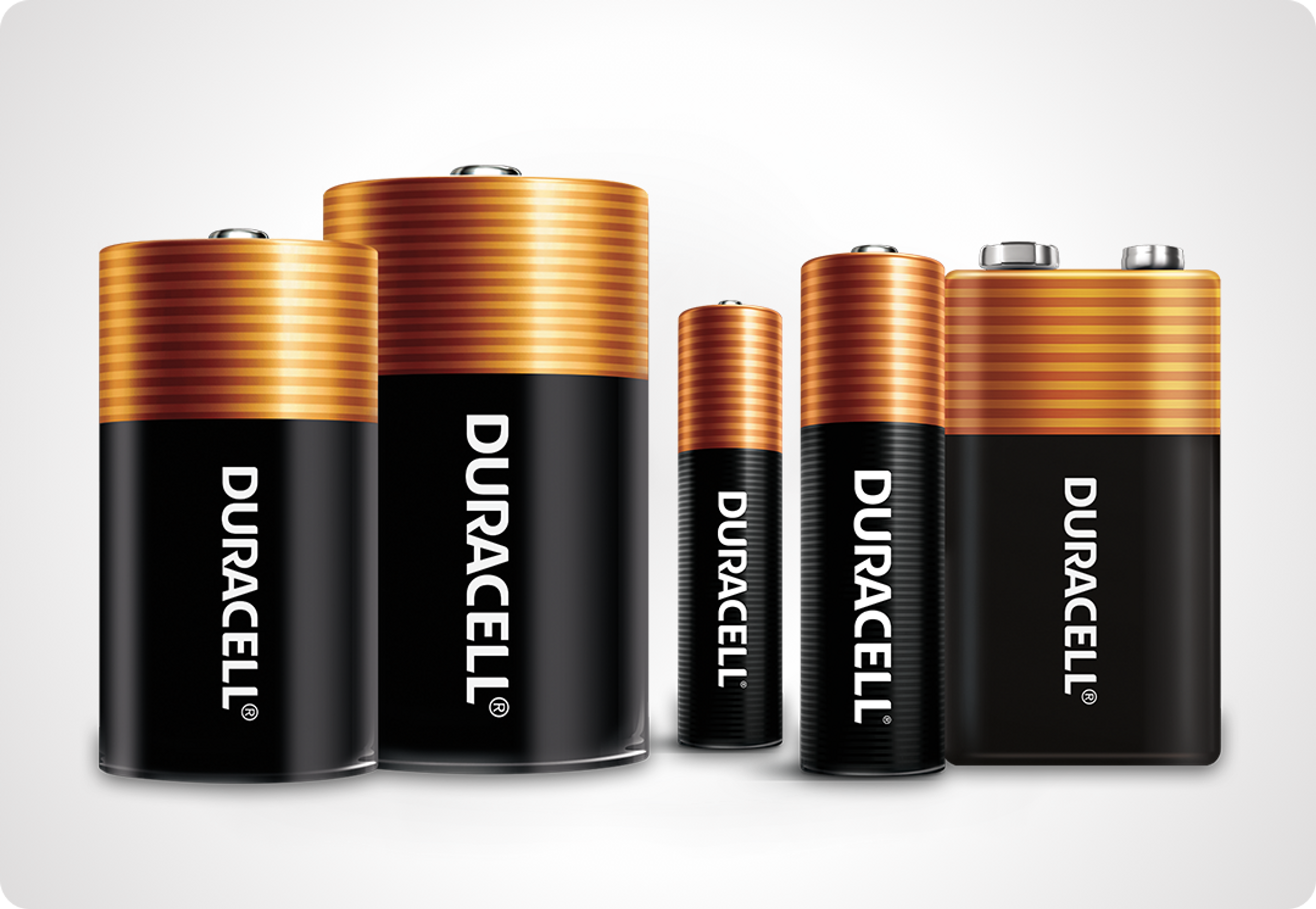 Image of various Procell batteries  in popular sizes: AA, AAA, C, D and 9-volt