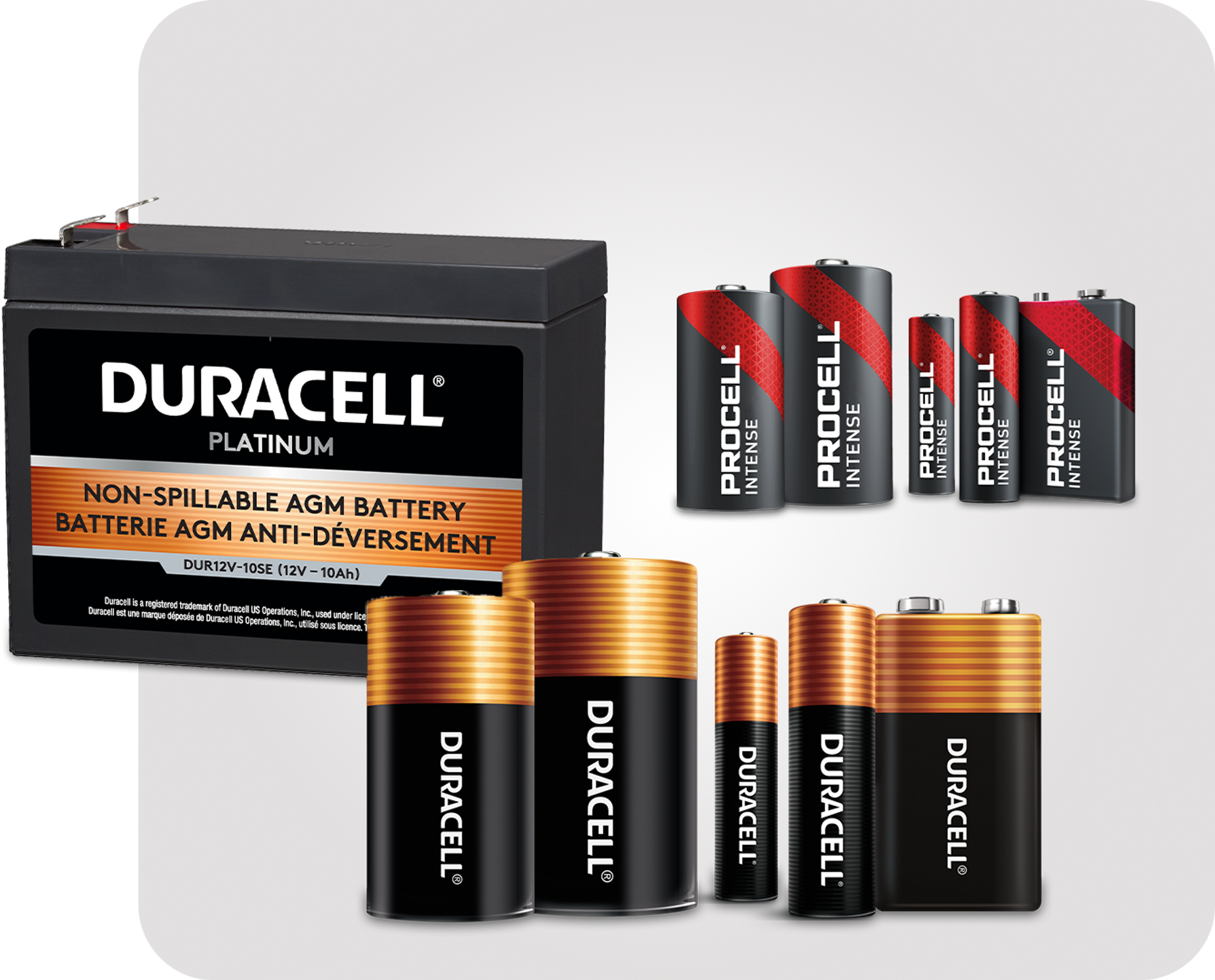 Picture of various batteriesn inclucing duracell, procell and East Penn car battery 