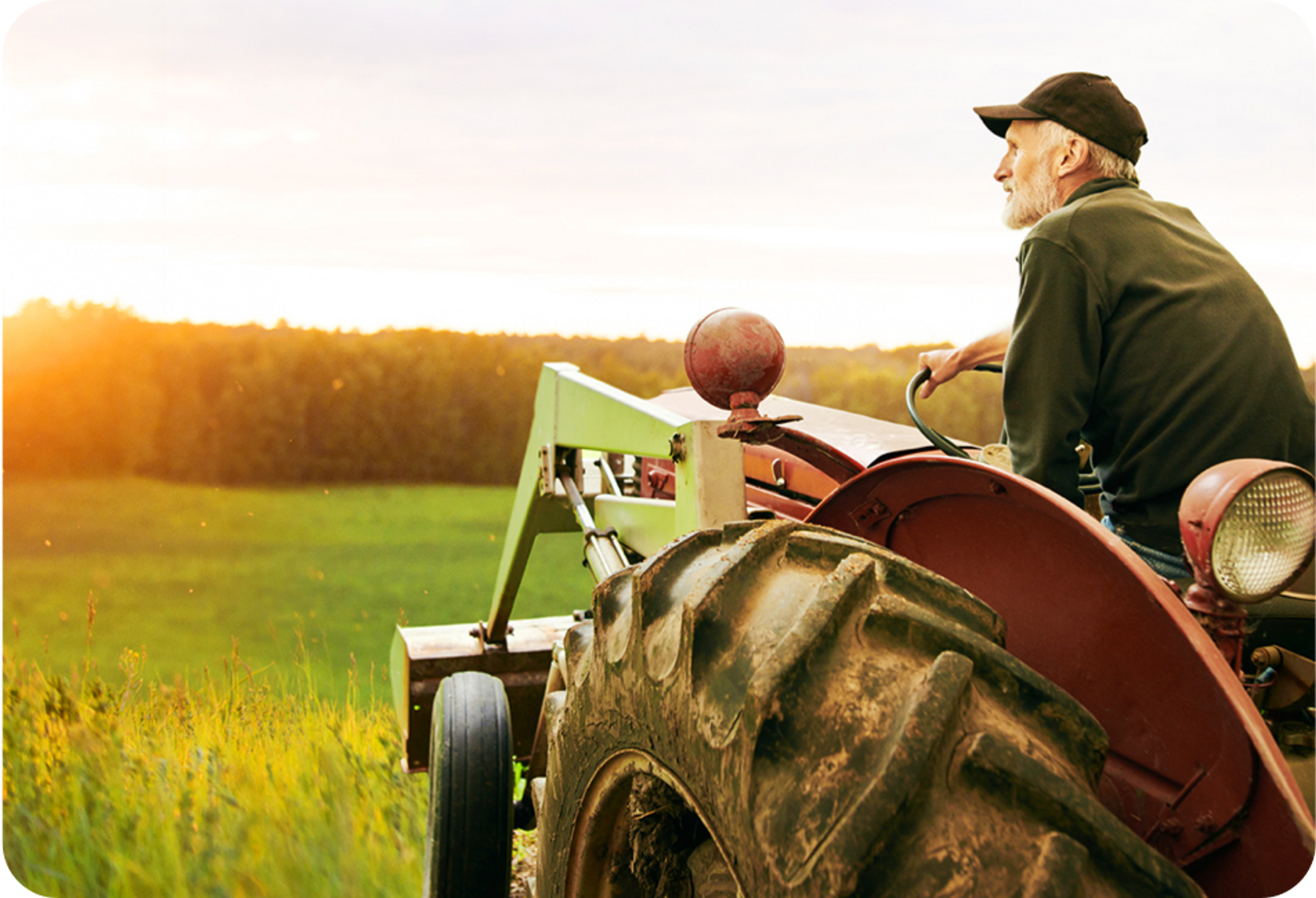Picture of a senior man driving a farming truck for agriculture
