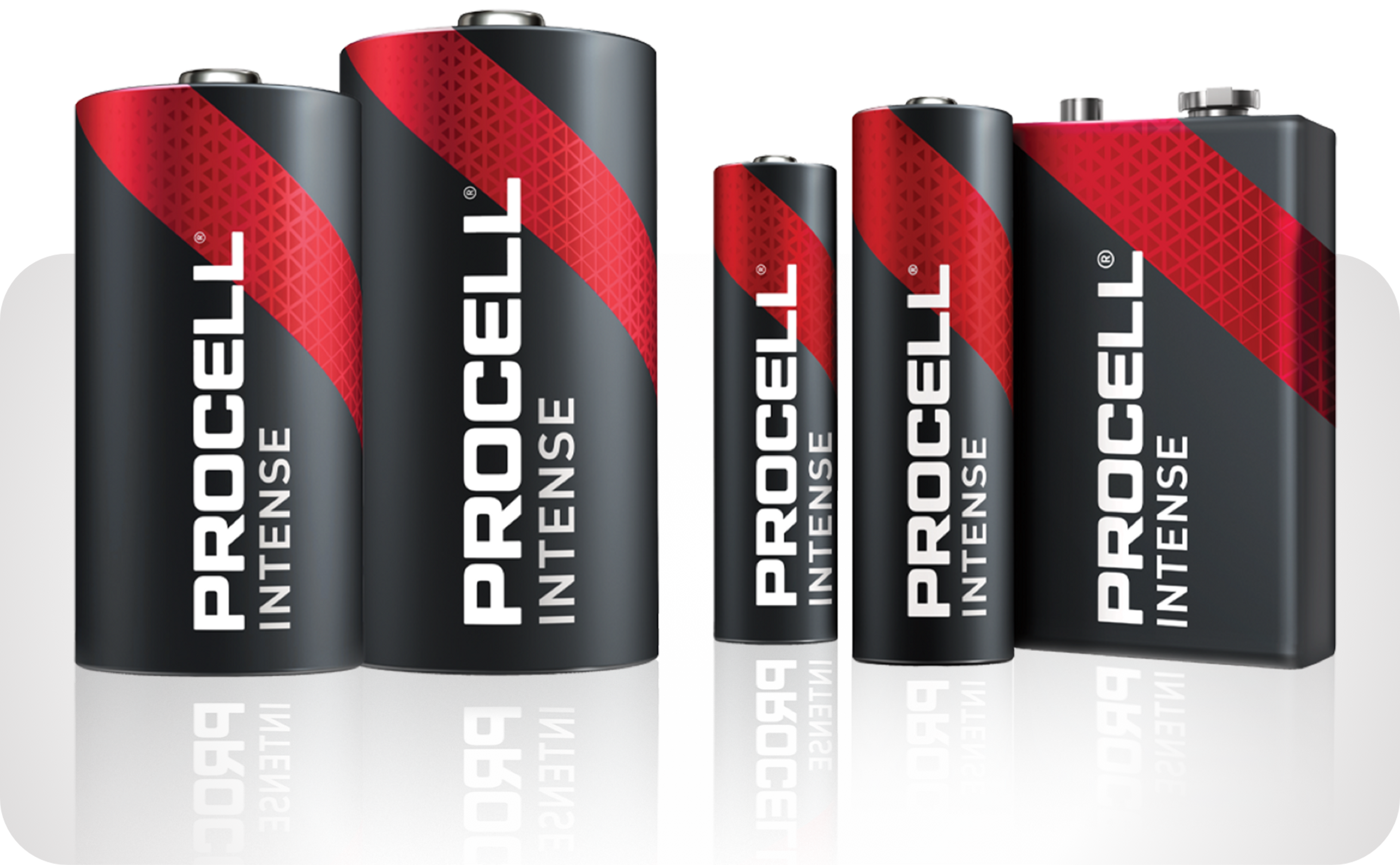 Picture showing various Procell Plus batteries  in popular sizes: AA, AAA, C, D and 9-volt