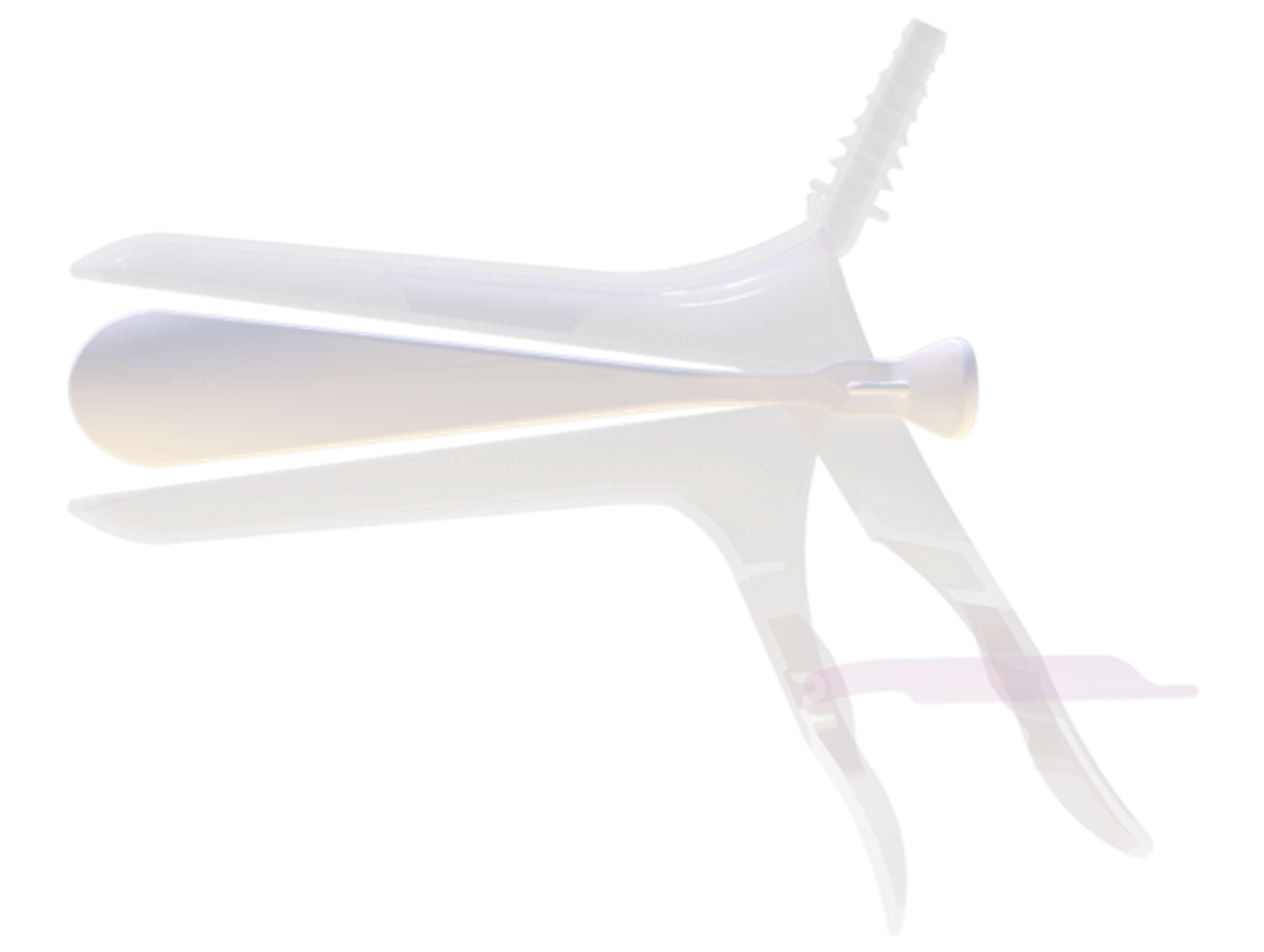  The Spoon  - 2
