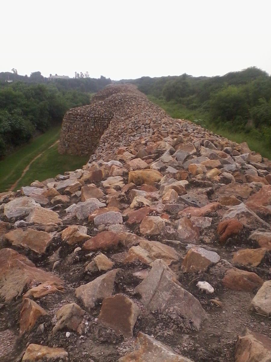 Lal Kot Qila Rai Pithora — Tomaras of Delhi