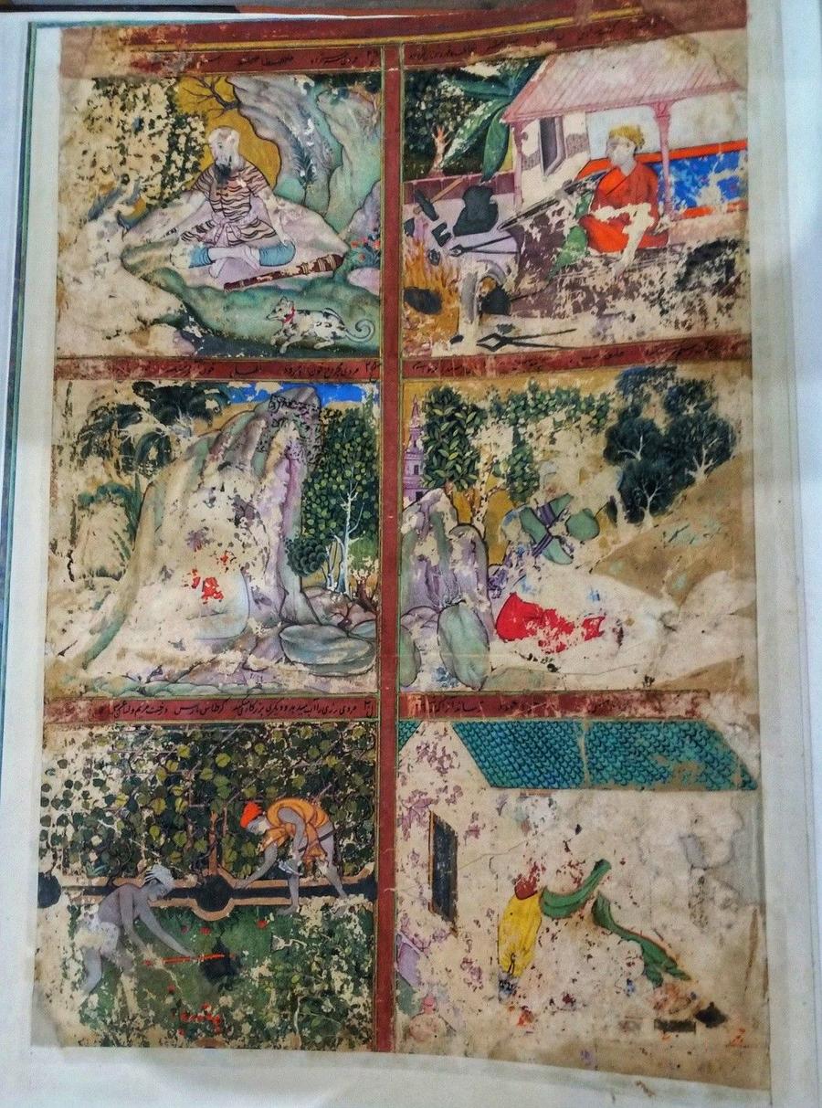 Rampur Raza Library — Rohilkhand and the Rohillas