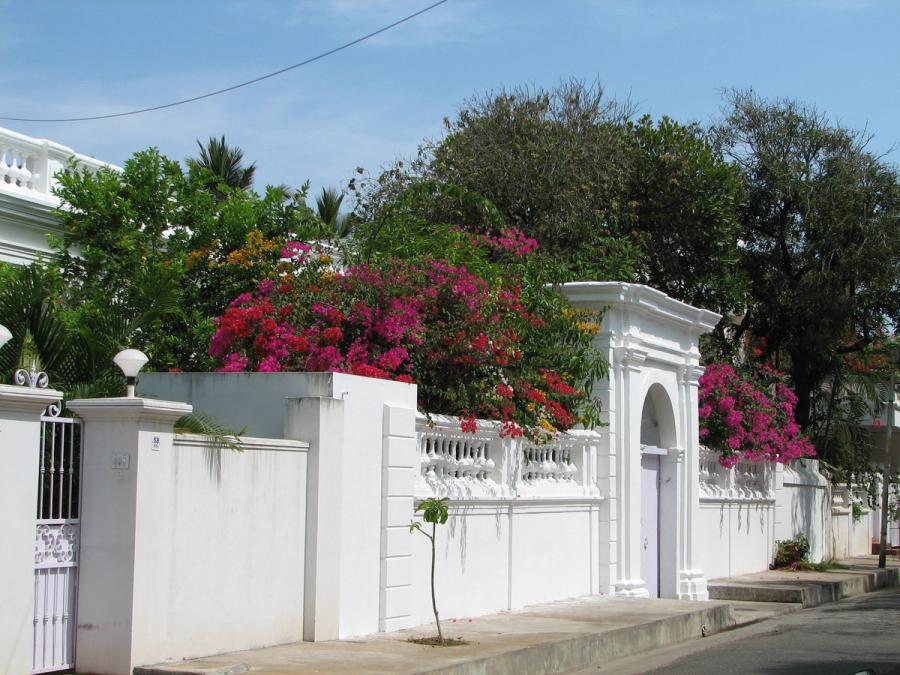French India — Vibrant flowers & French architecture, Pondicherry, India