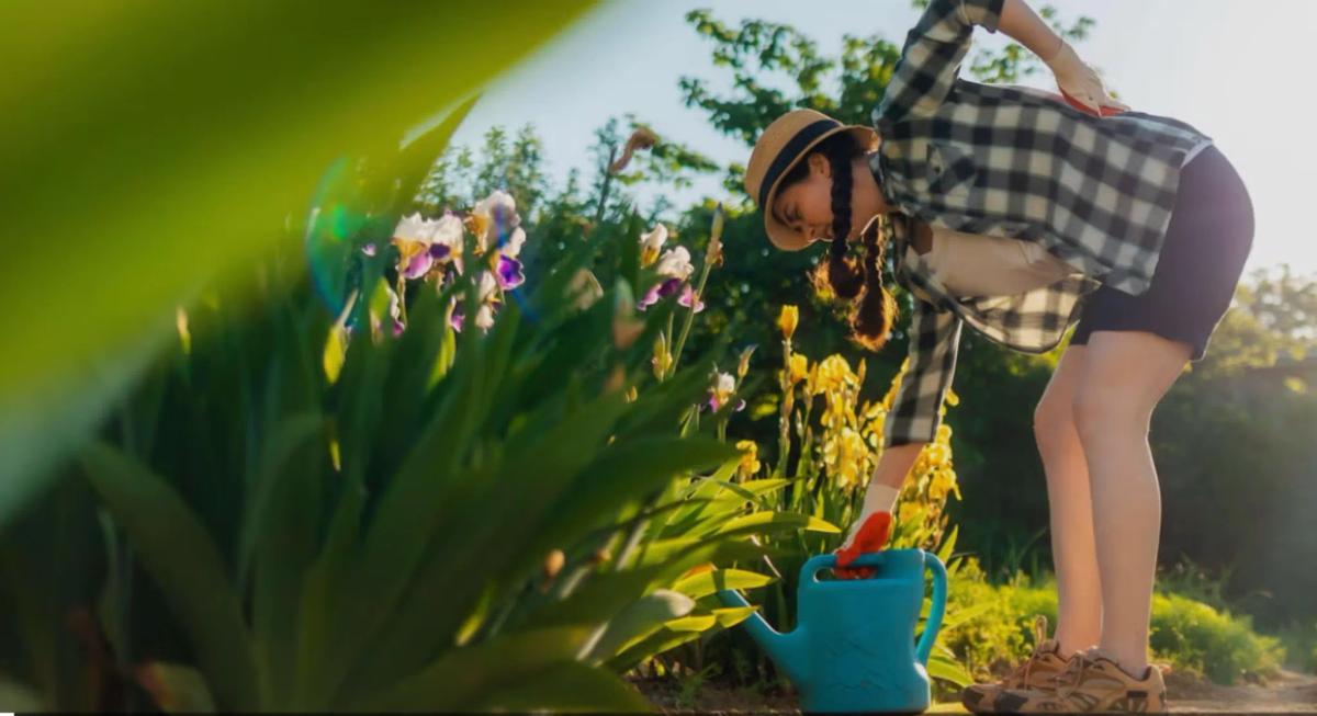 Osteopathy and Arthritis: Finding Spring in Your Joints