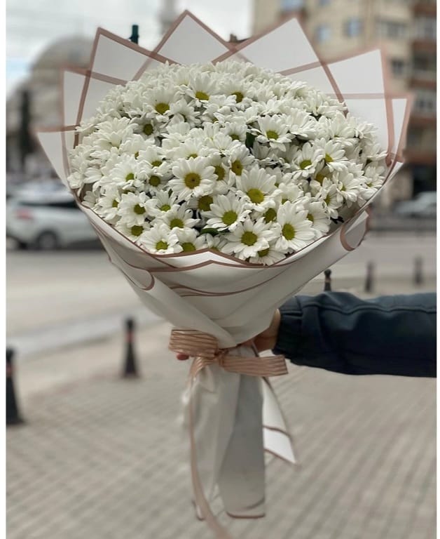 500 evler gece açık çiçekçi kapak görseli