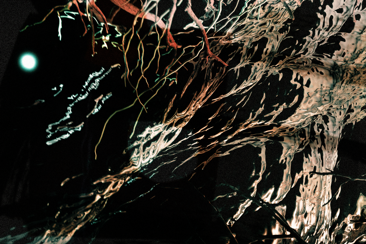 YL Hooi, Bhairavi Raman with Nanthesh Sivarajah