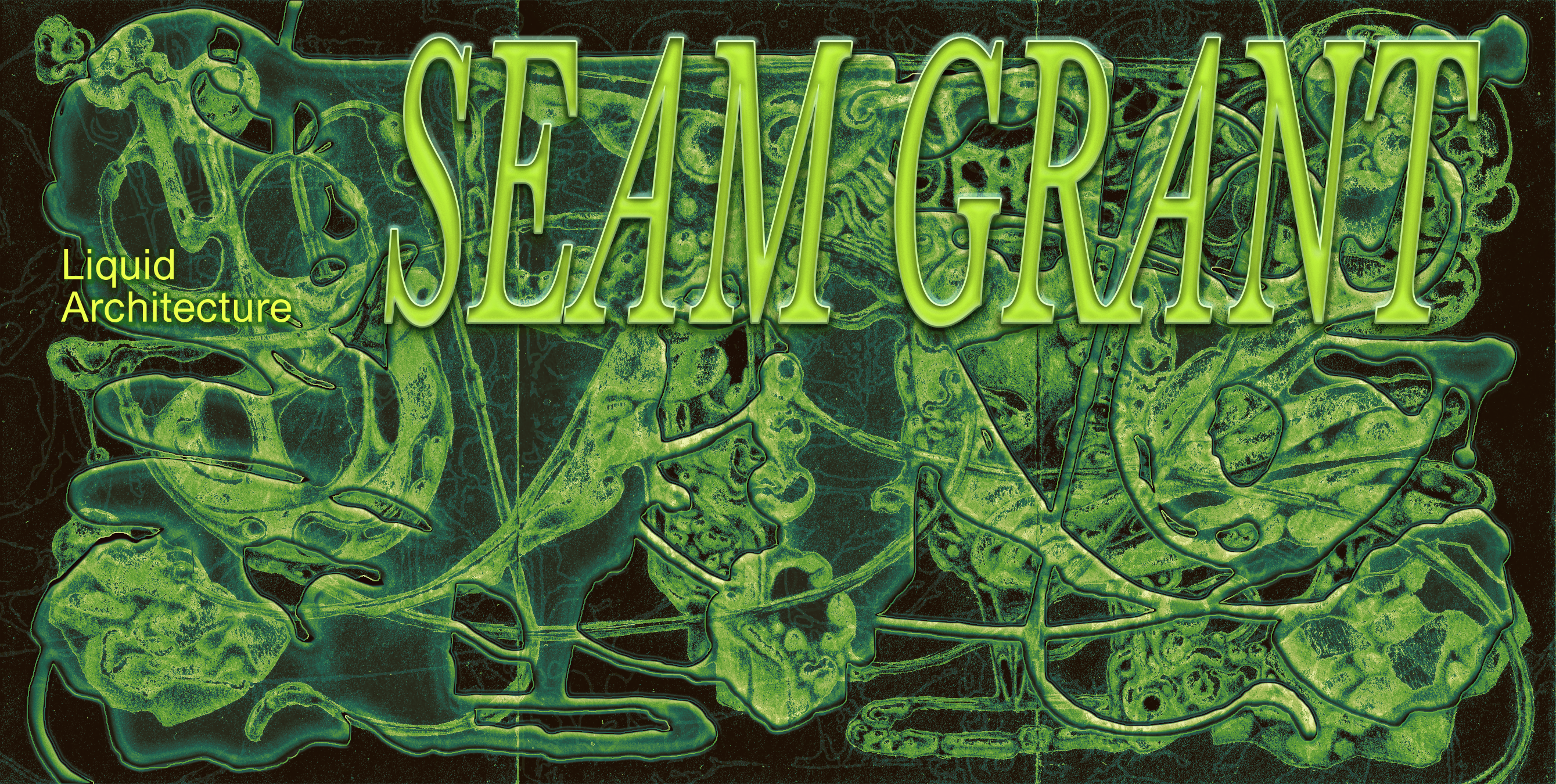 SEAM Grant