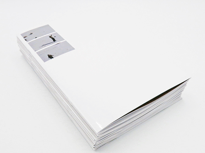 Félicia Atkinson and Shelter Press: Ambient Park