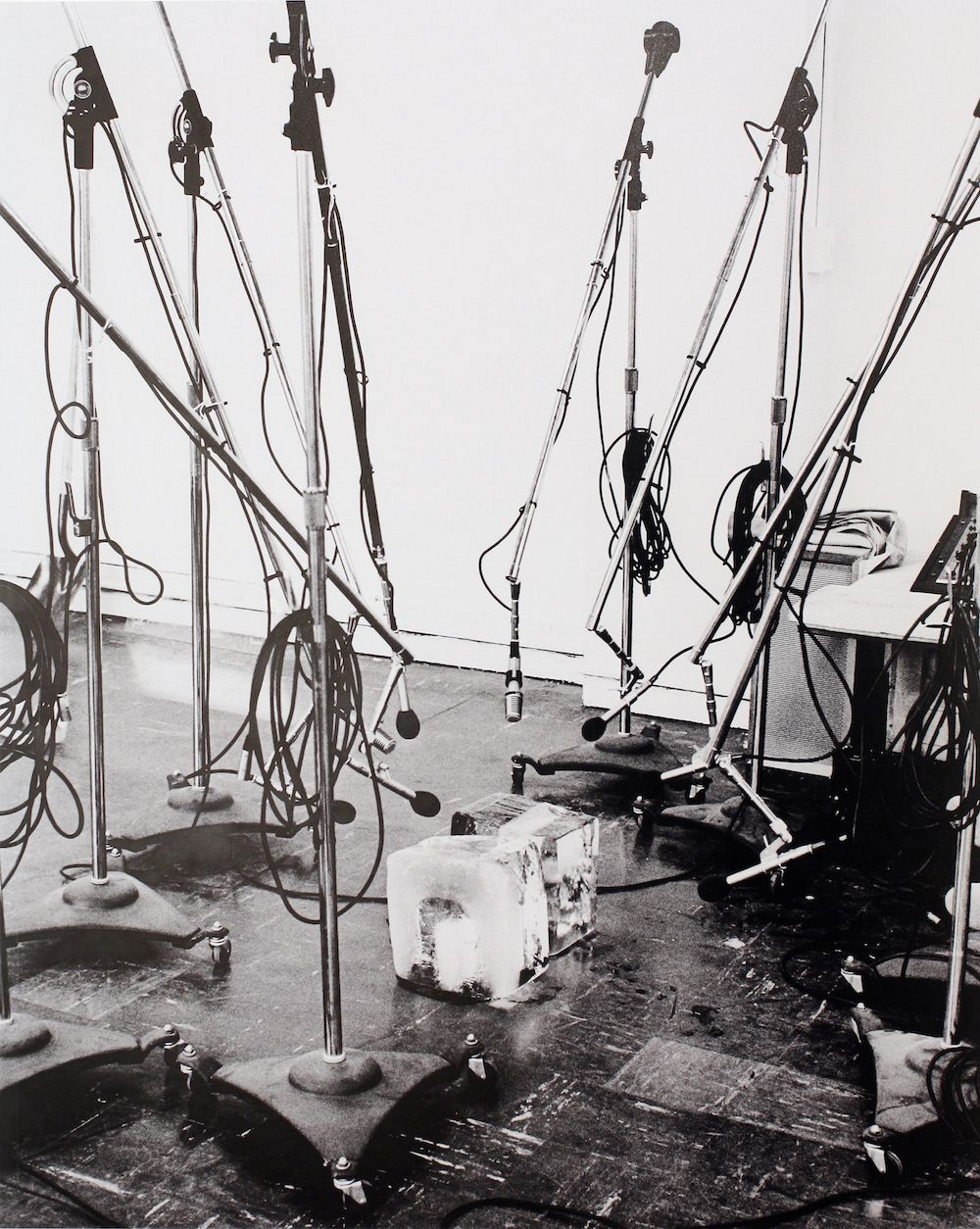 Listening to the Anthropocene: Sound and ecological crisis