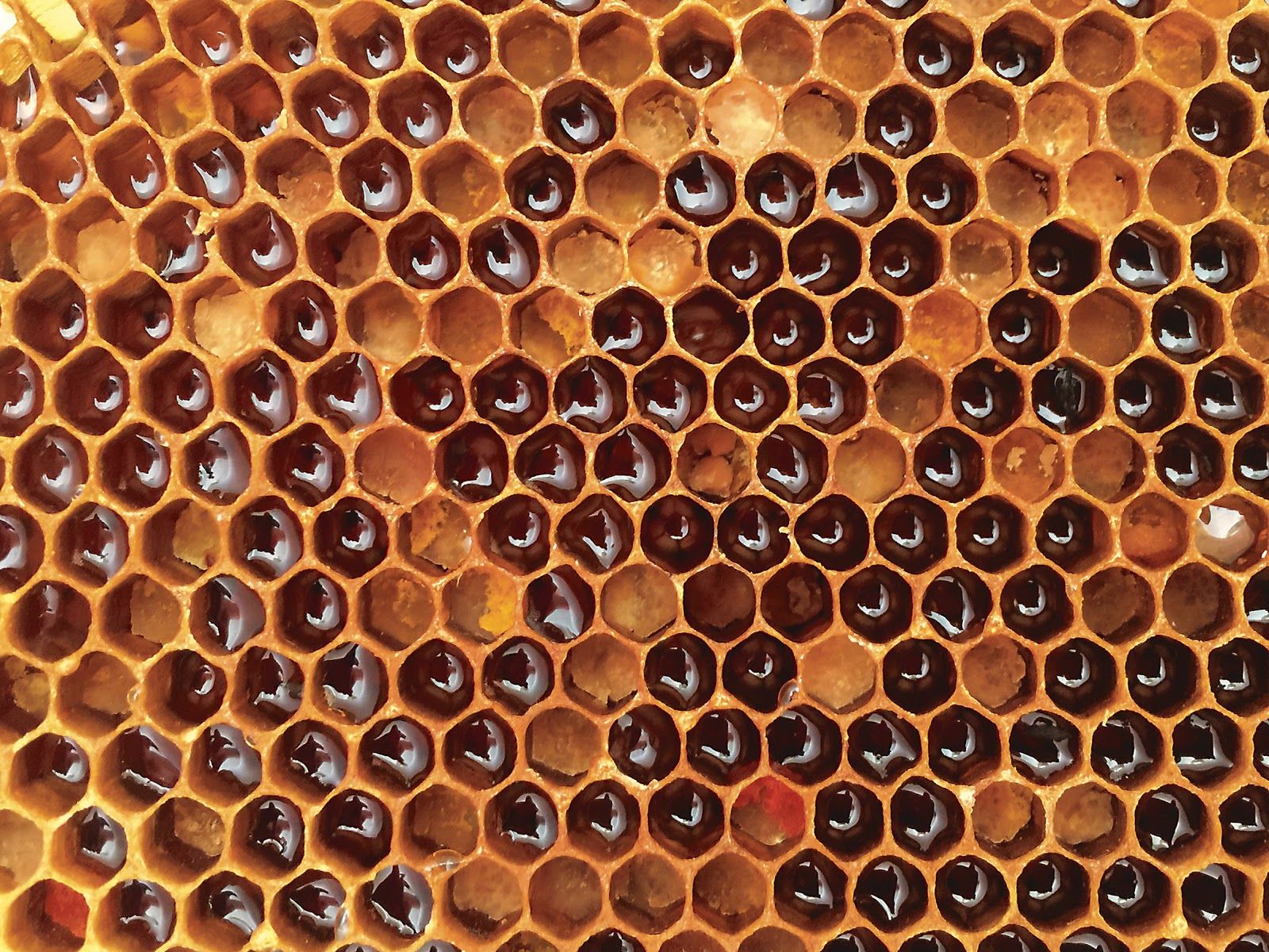 Undiluted Flow State