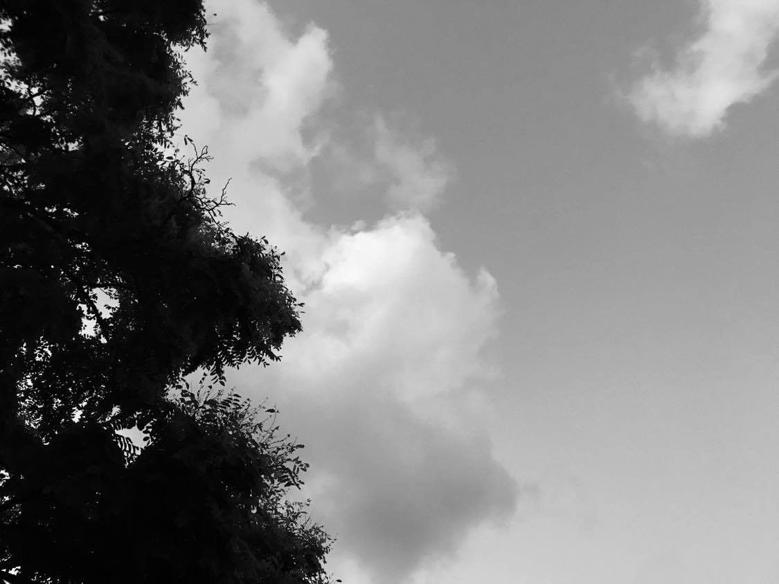 Laniyuk and AM Kanngieser: Unwelcomed____