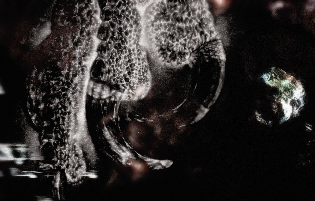 Senyawa, Jasmin Wing-Yin Leung, Abby Sundborn & Bayu