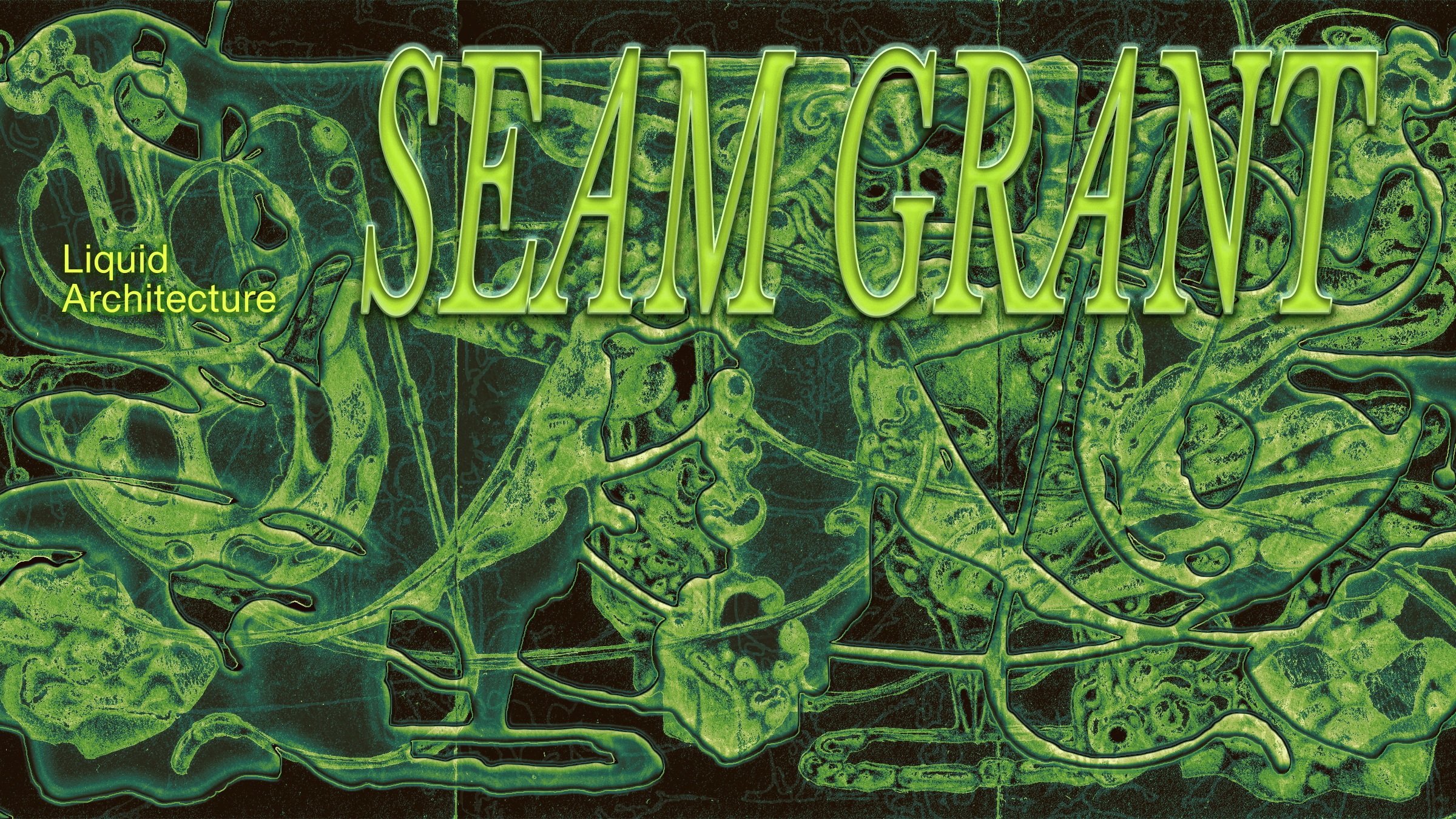 SEAM Grant