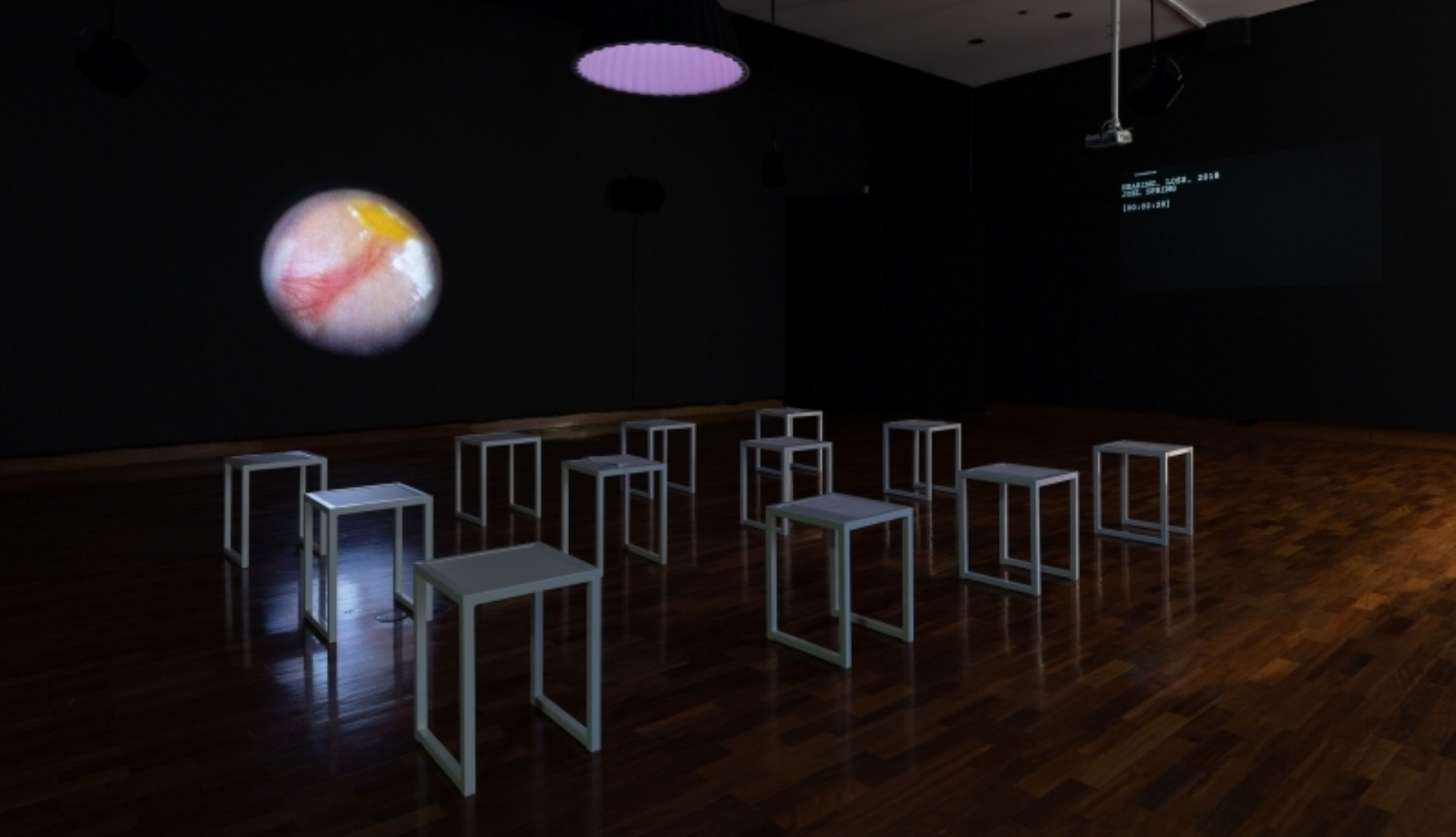 Curating Sonic Subjects