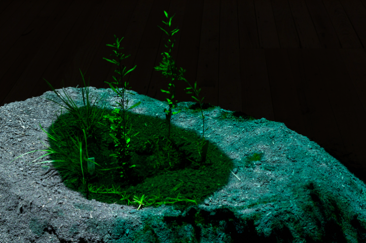 Victoria Pham and Joel Spring: TERRA