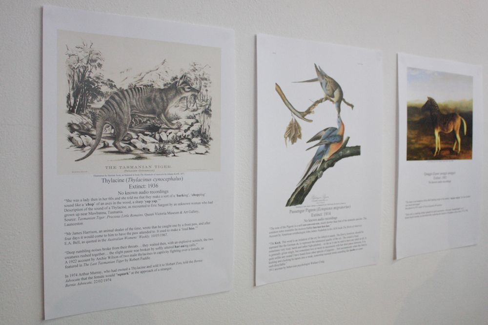 Why Listen To Animals?: Metazoa