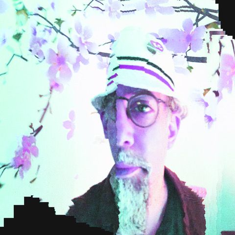 Seth Kim-Cohen | Australia 2019