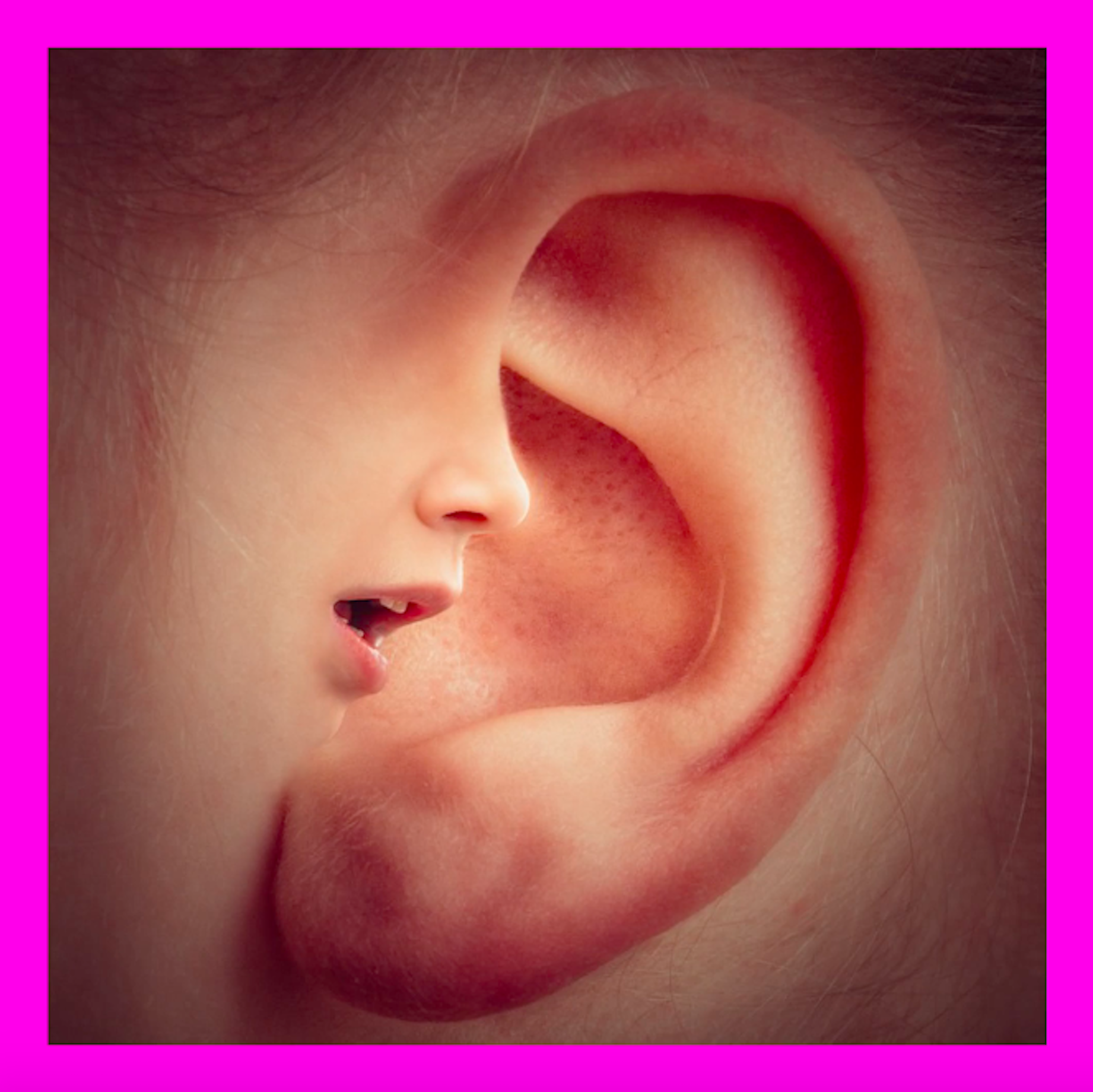 Nathan Gray, Makiko Yamamoto and Danni Zuvela: Rogue Syntax