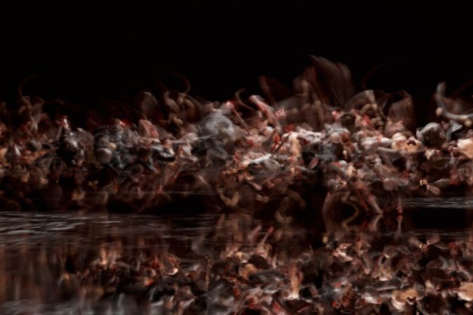 RP Boo, Mirasia b2b Kuya Neil, Lizzynice