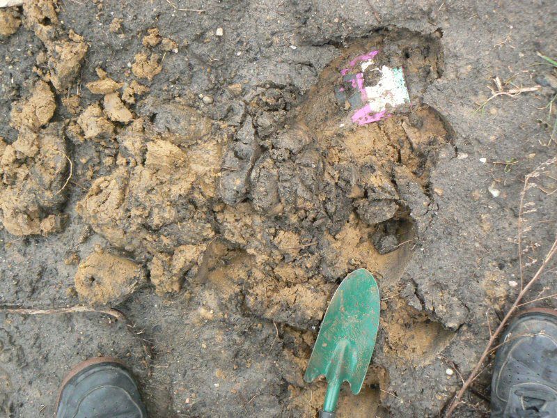 Martin Howse: Earthcodes