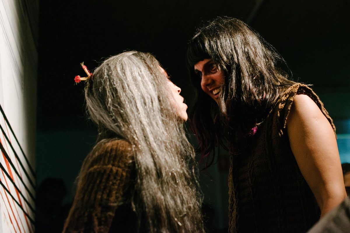 Why Listen to Animals?