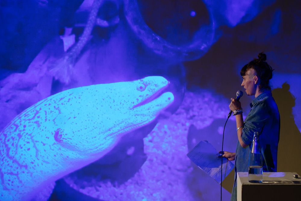 Why Listen To Animals?: Listening across the abyss of incomprehension