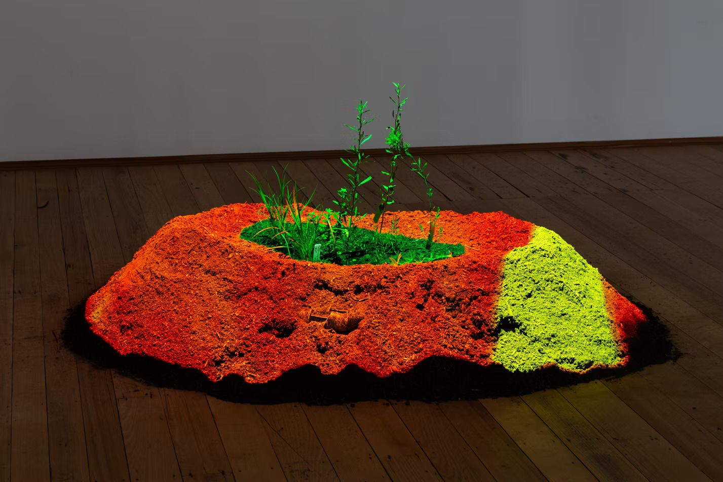 TERRA: Mono-Poly-October