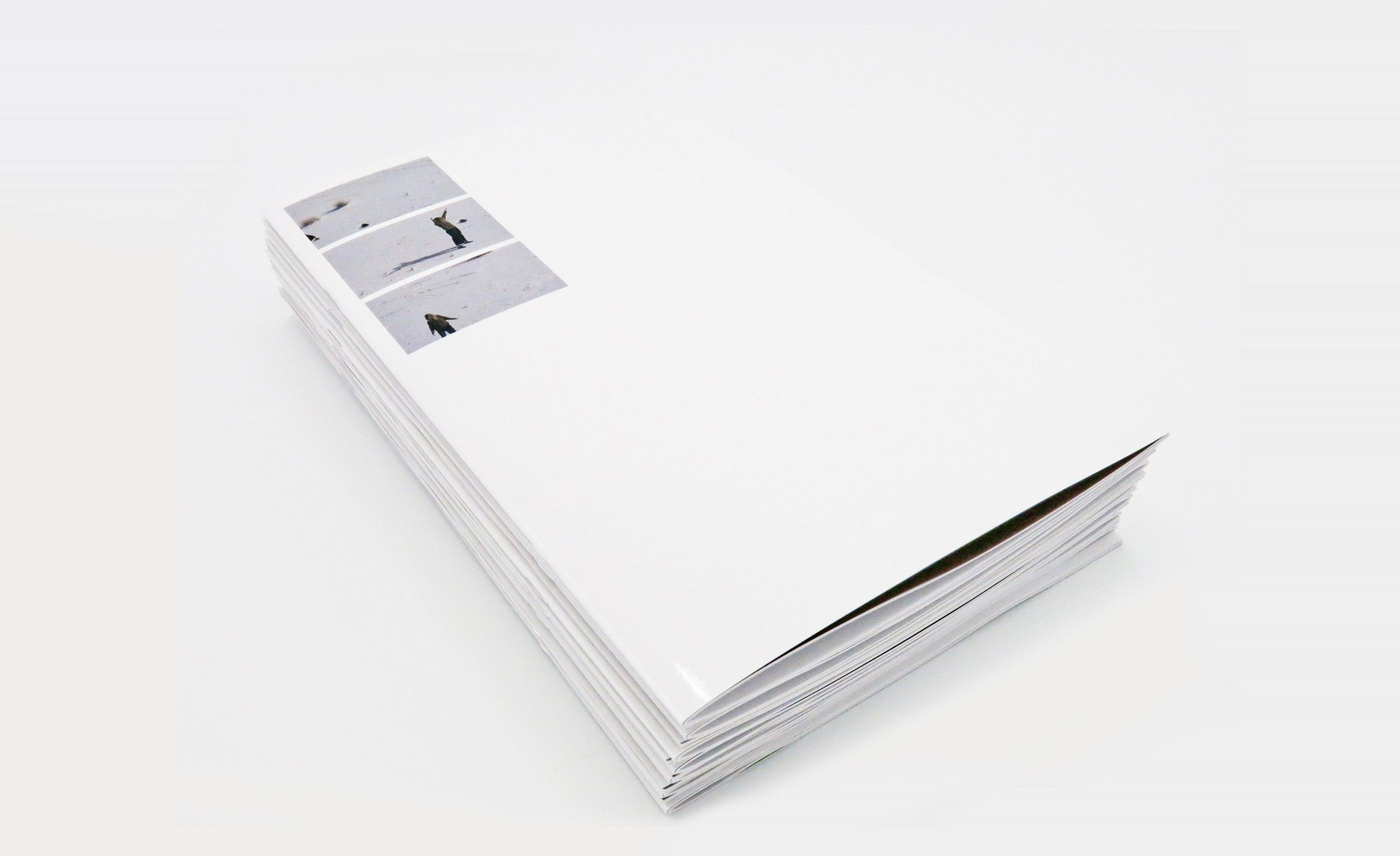 Félicia Atkinson and Shelter Press: Ambient Park