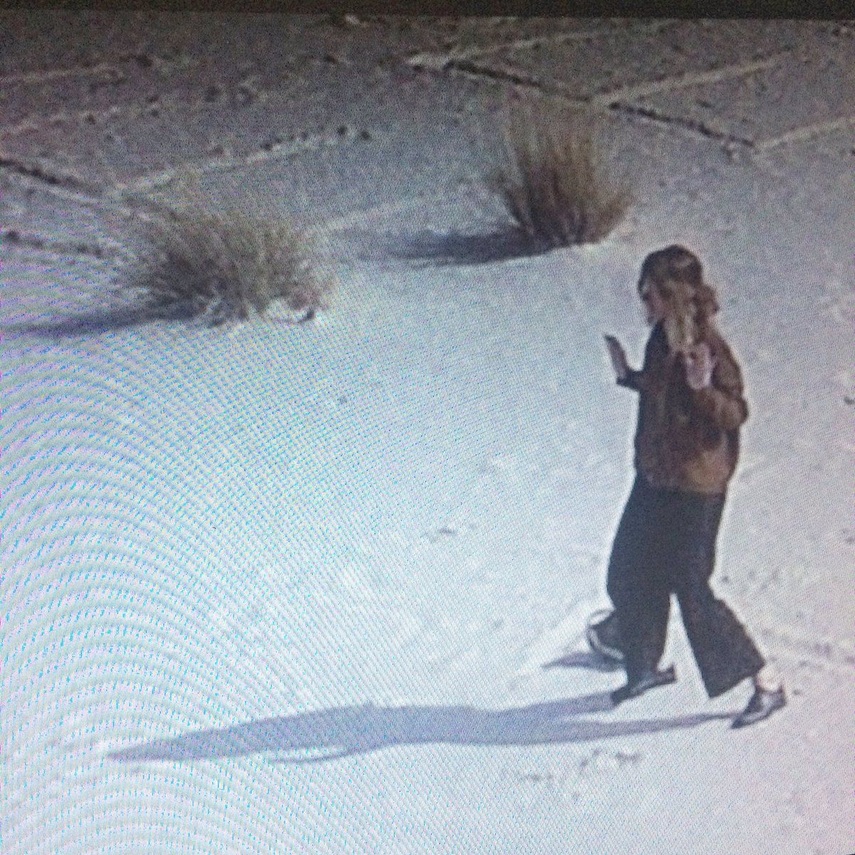 Félicia Atkinson and Bartolomé Sanson