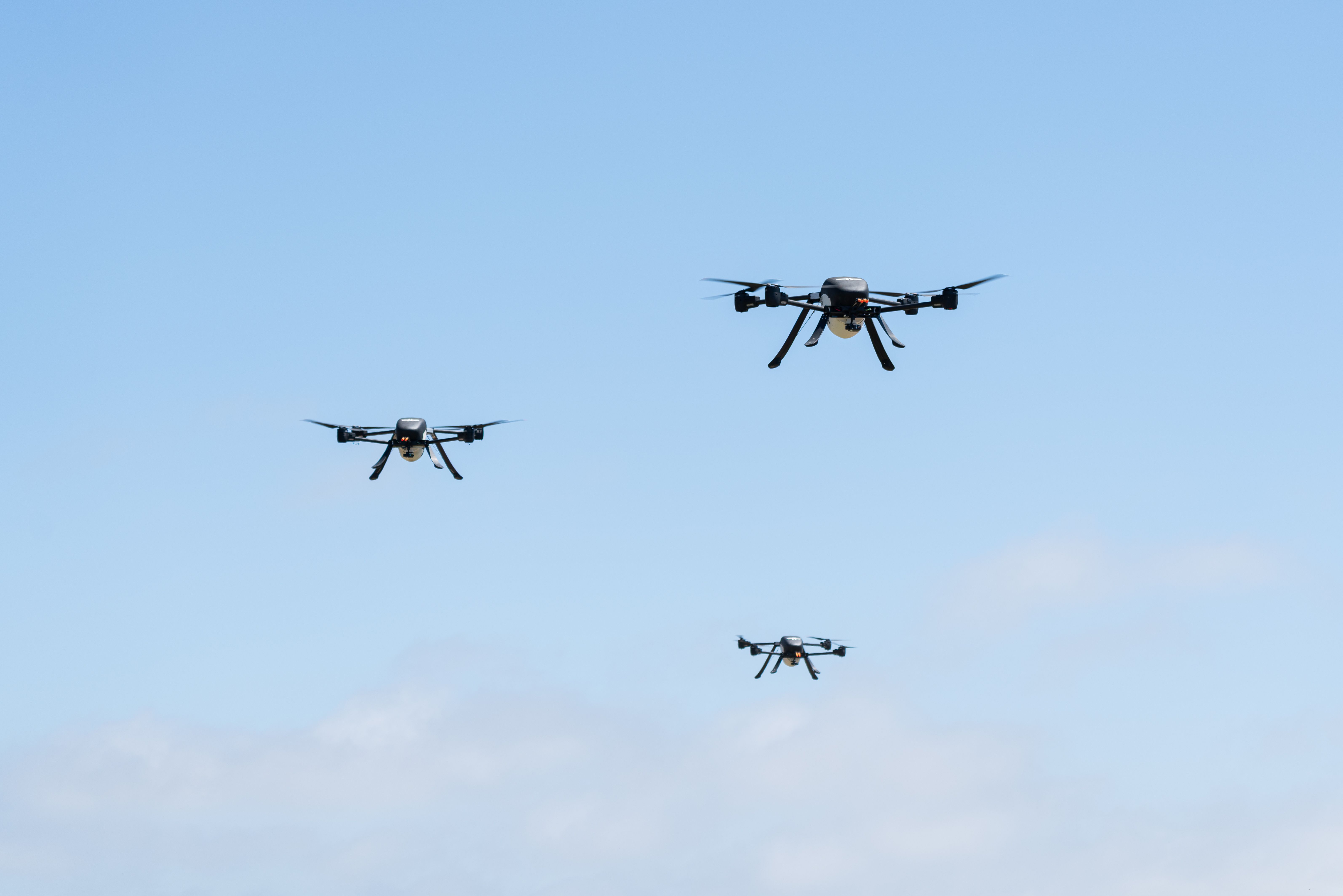 Article image for Announcing Seneca