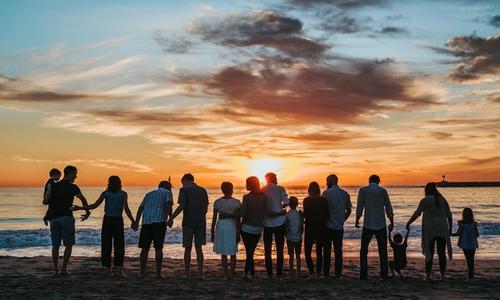 Term vs Whole Life Insurance: A Plain-English Comparison