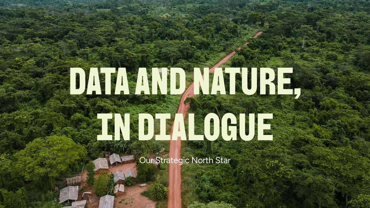 Iroko strategic north star