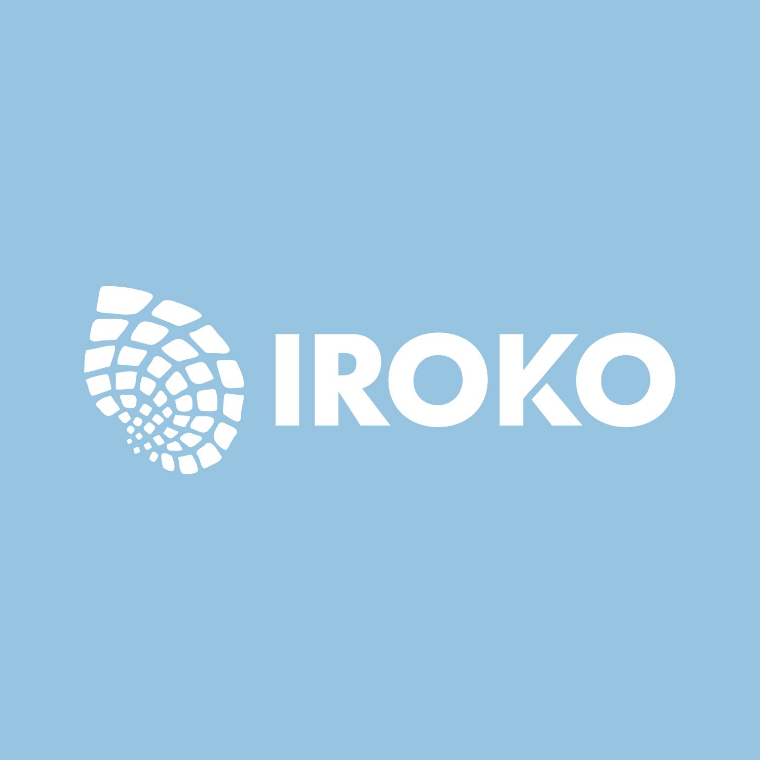Iroko Primary 3