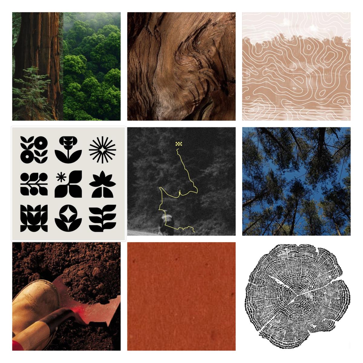 Iroko Mood - Wayfinding through the Jungle