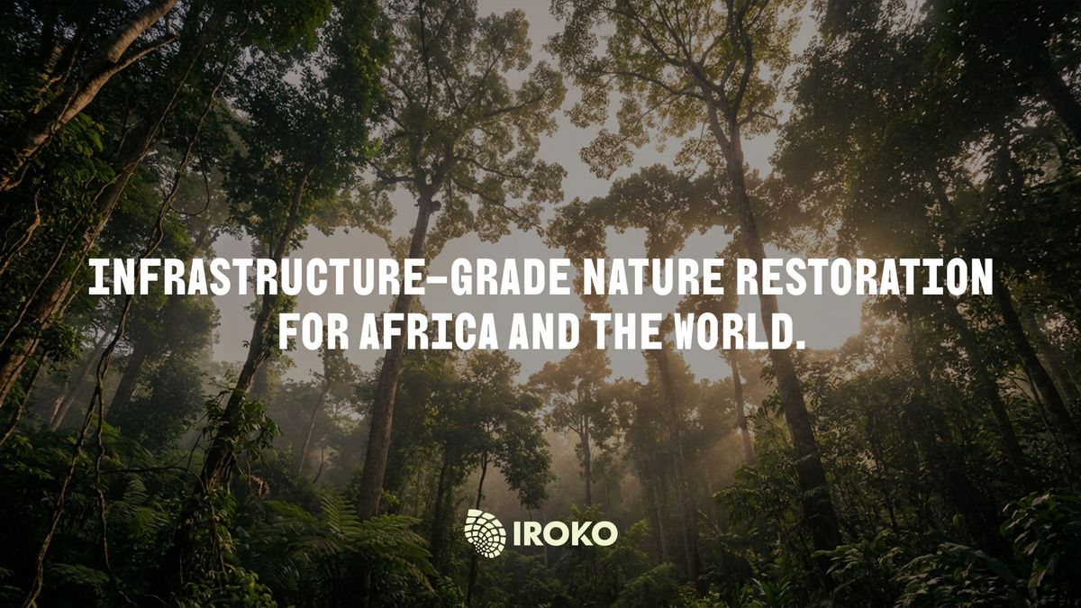 Iroko core strategic direction