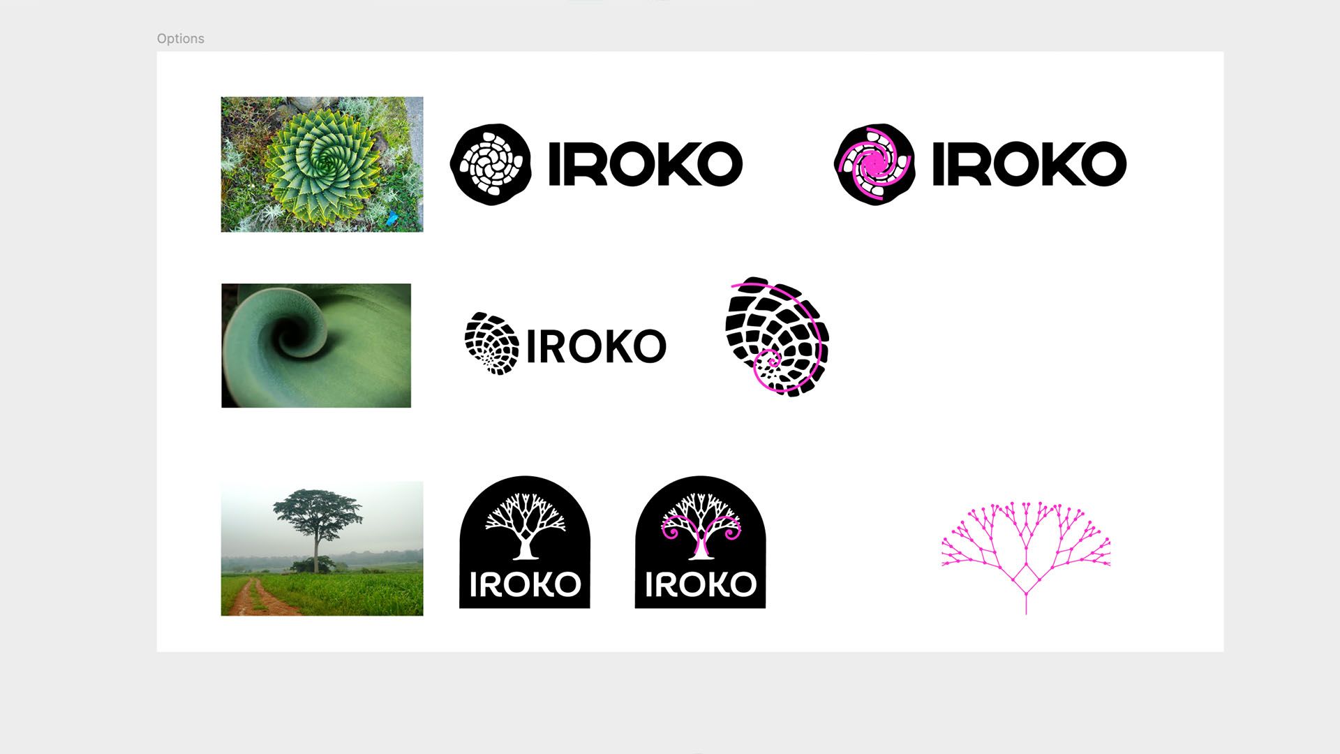 Iroko Sketches 3