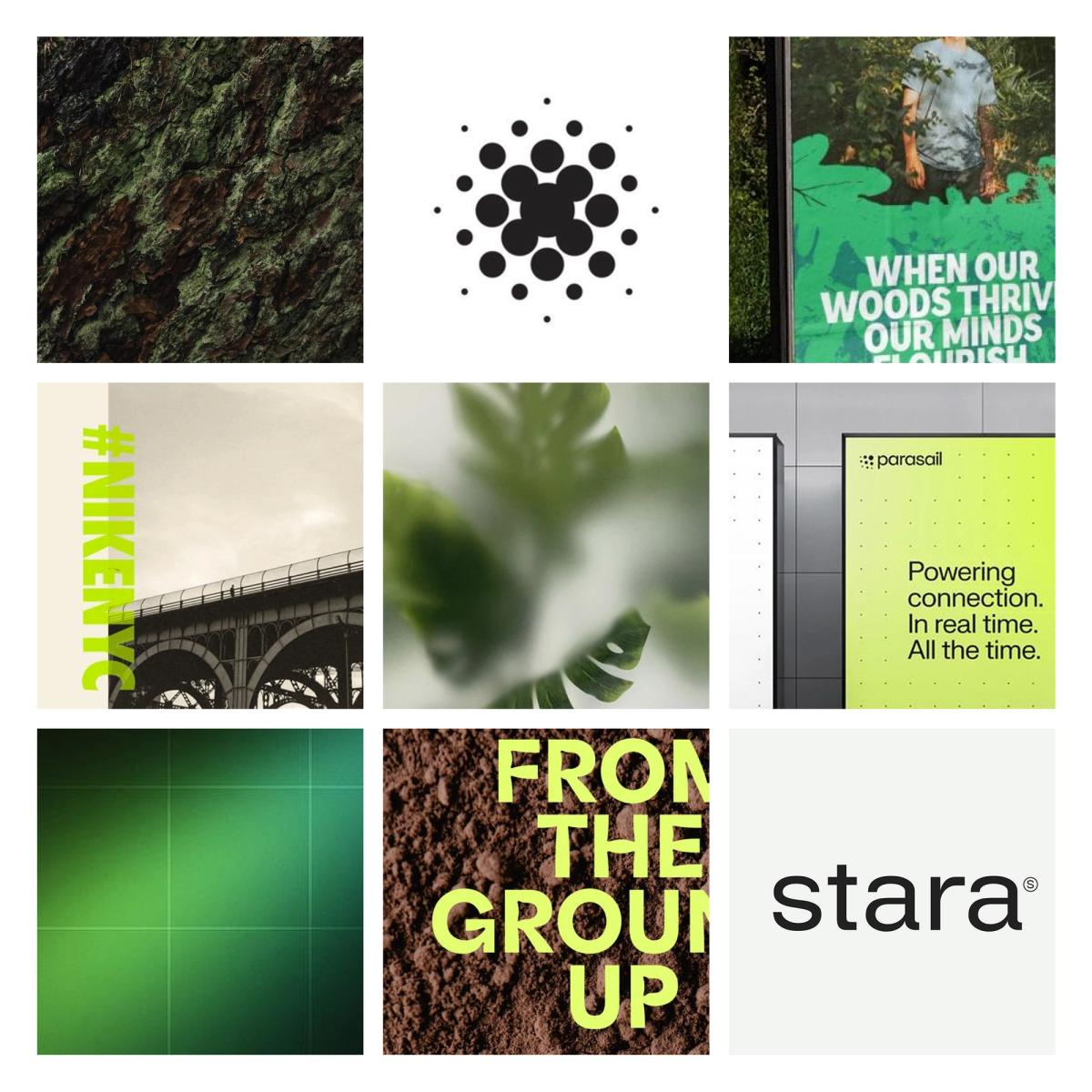 Iroko Mood - Future Focused