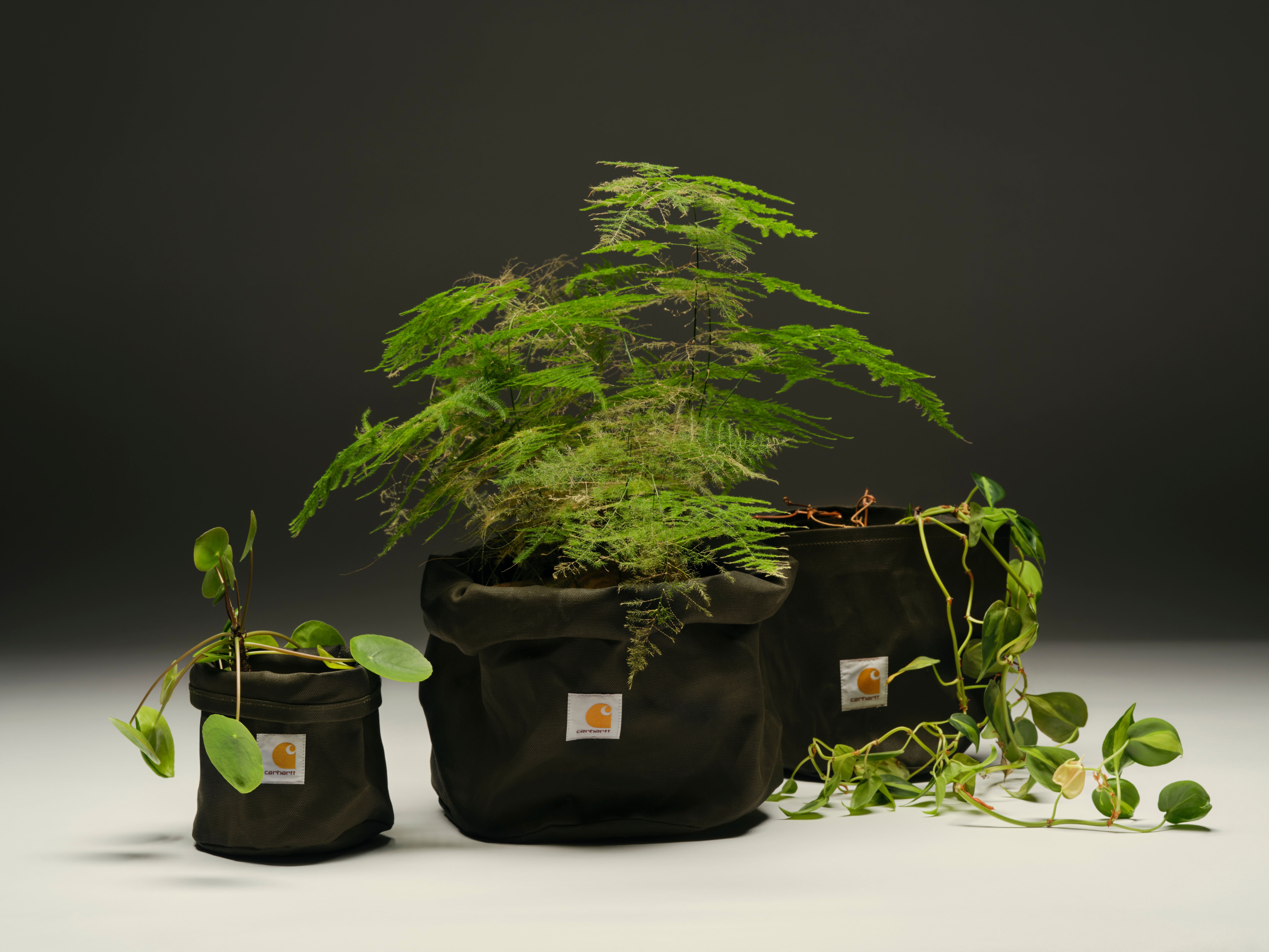 Official Carhartt WIP Store