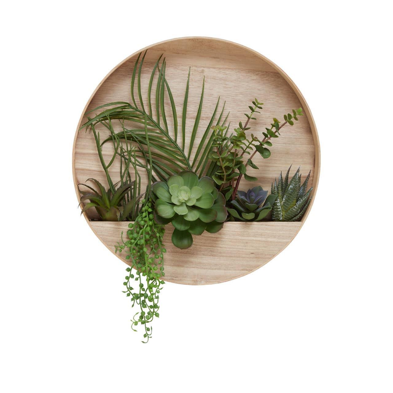 Fiori Mixed Succulents In Wood Wall Planter | Kaiku