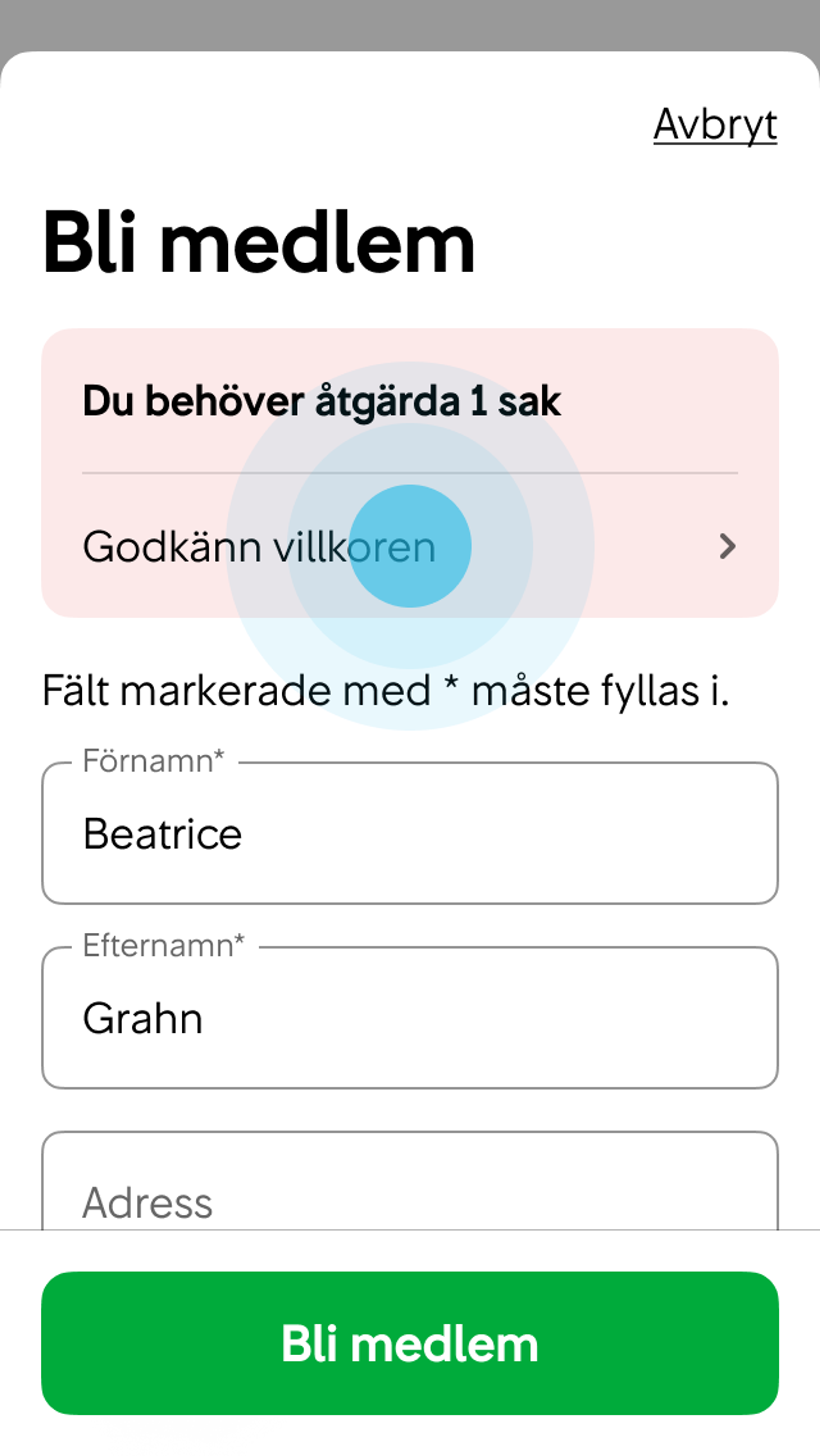 2. Användaren flyttas längst upp på sidan där en summering av alla fel visas med ankarlänkar till varje tomt eller felaktigt ifyllt inmatningsfält. Berörda inmatningsfält får röda ramar, röda labels, röda varningstrianglar och röda felmeddelanden.
