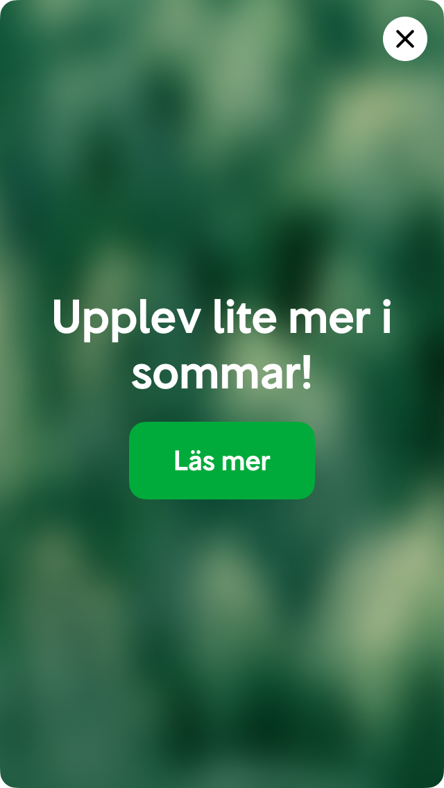 Rätt mängd oskärpa skapar ett levande men ändå lugnt intryck.