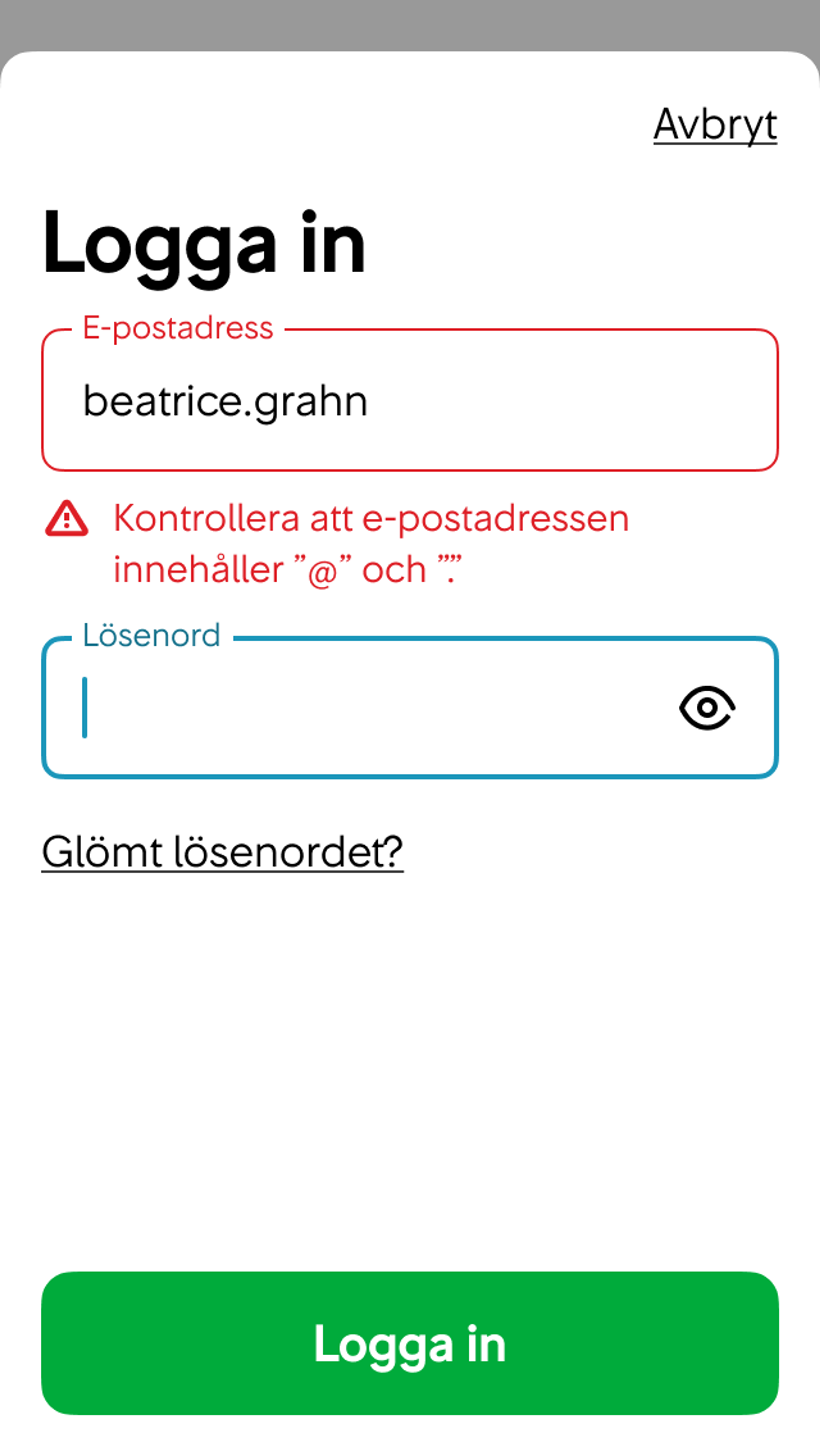 2. Inmatningsfältet får röd ram, röd label, röd varningstriangel och ett rött felmeddelande.